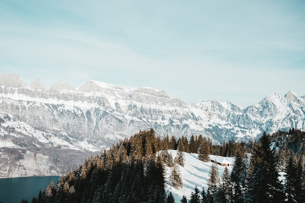 a snowy mountain range