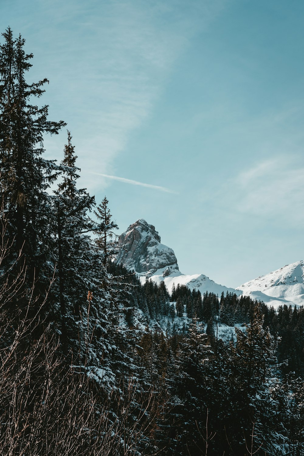 a snowy mountain range