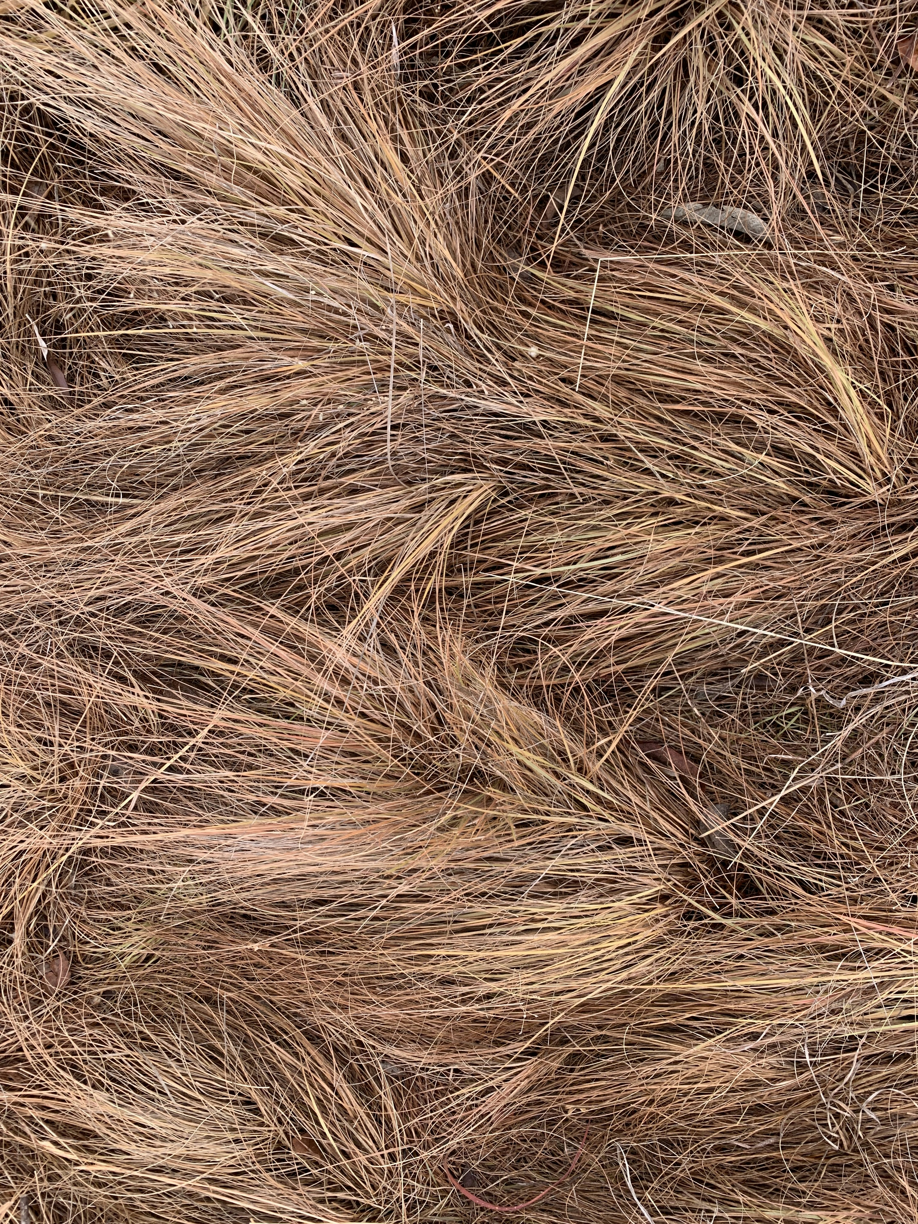 Photo by shrutis_patel