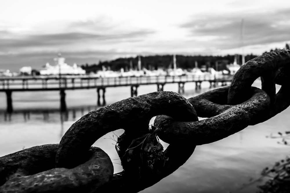 a chain link fence