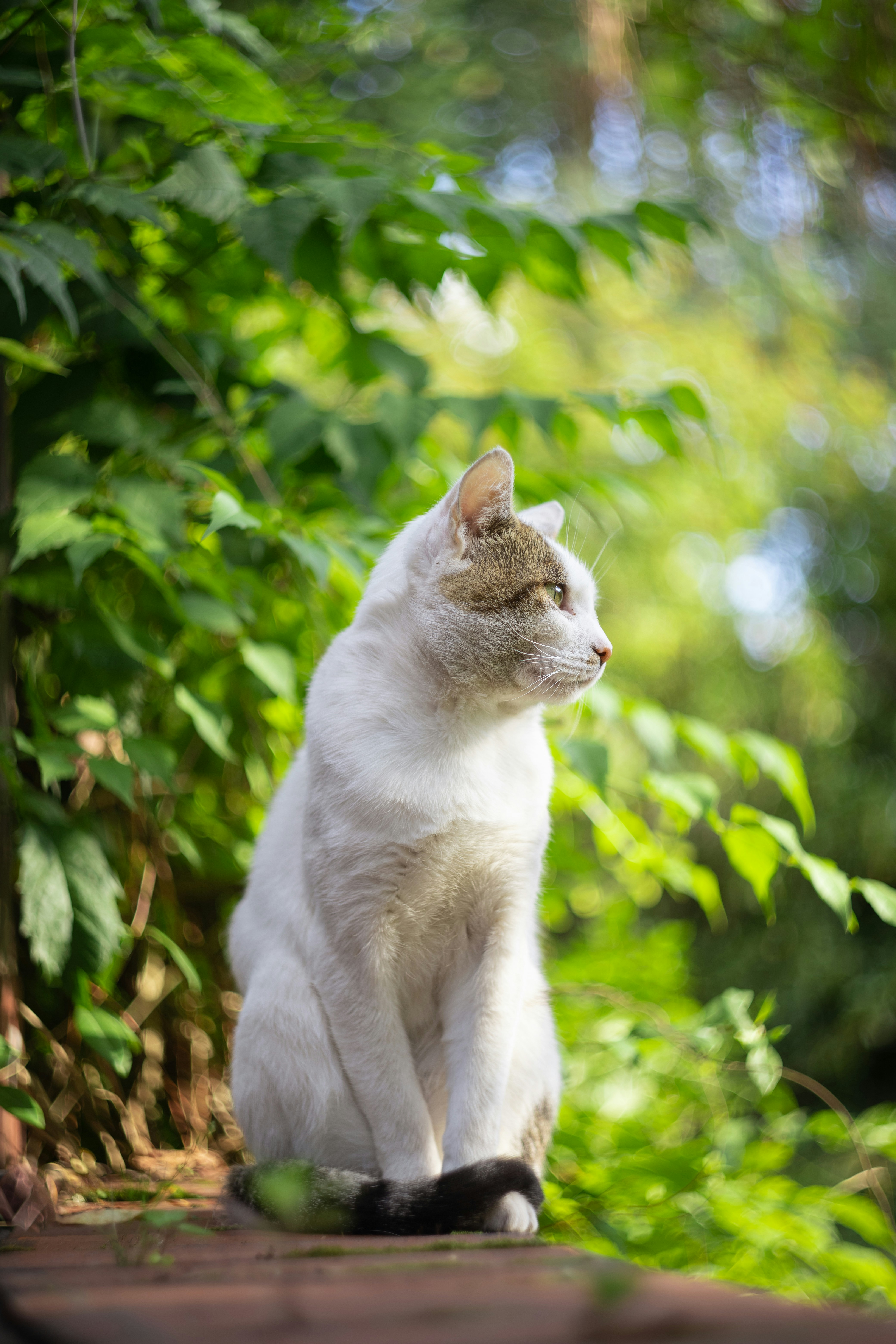 Photo by victor_vector