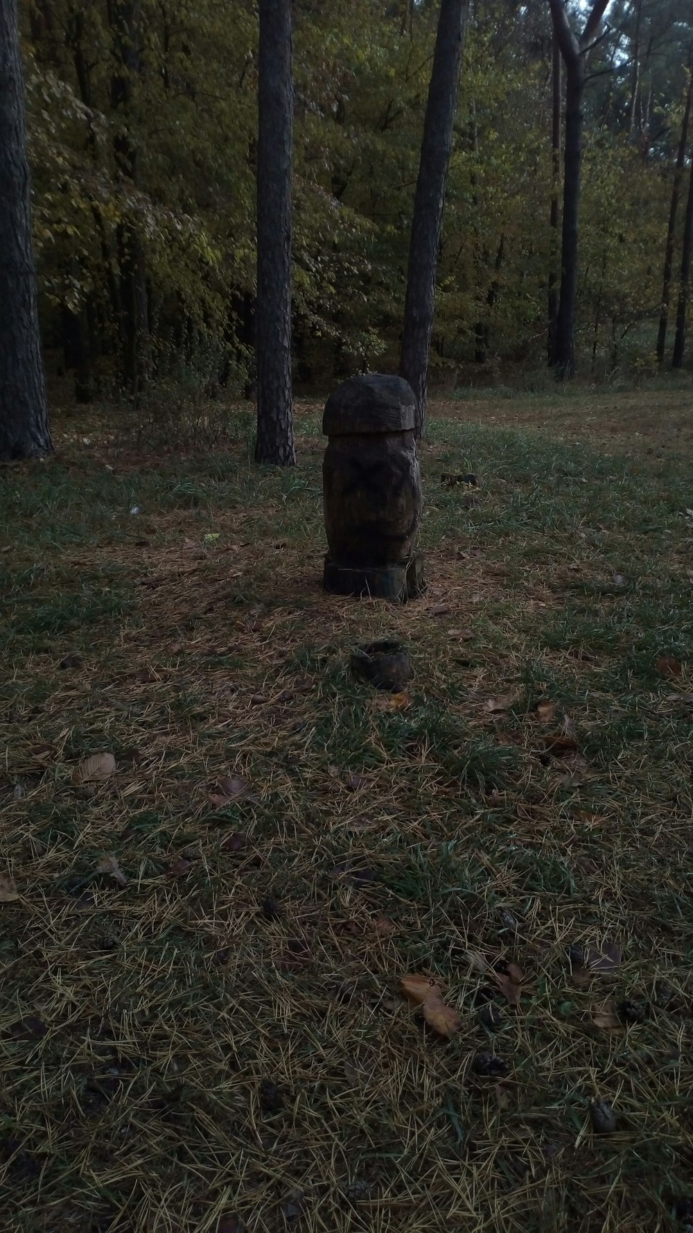 a statue in a grassy area