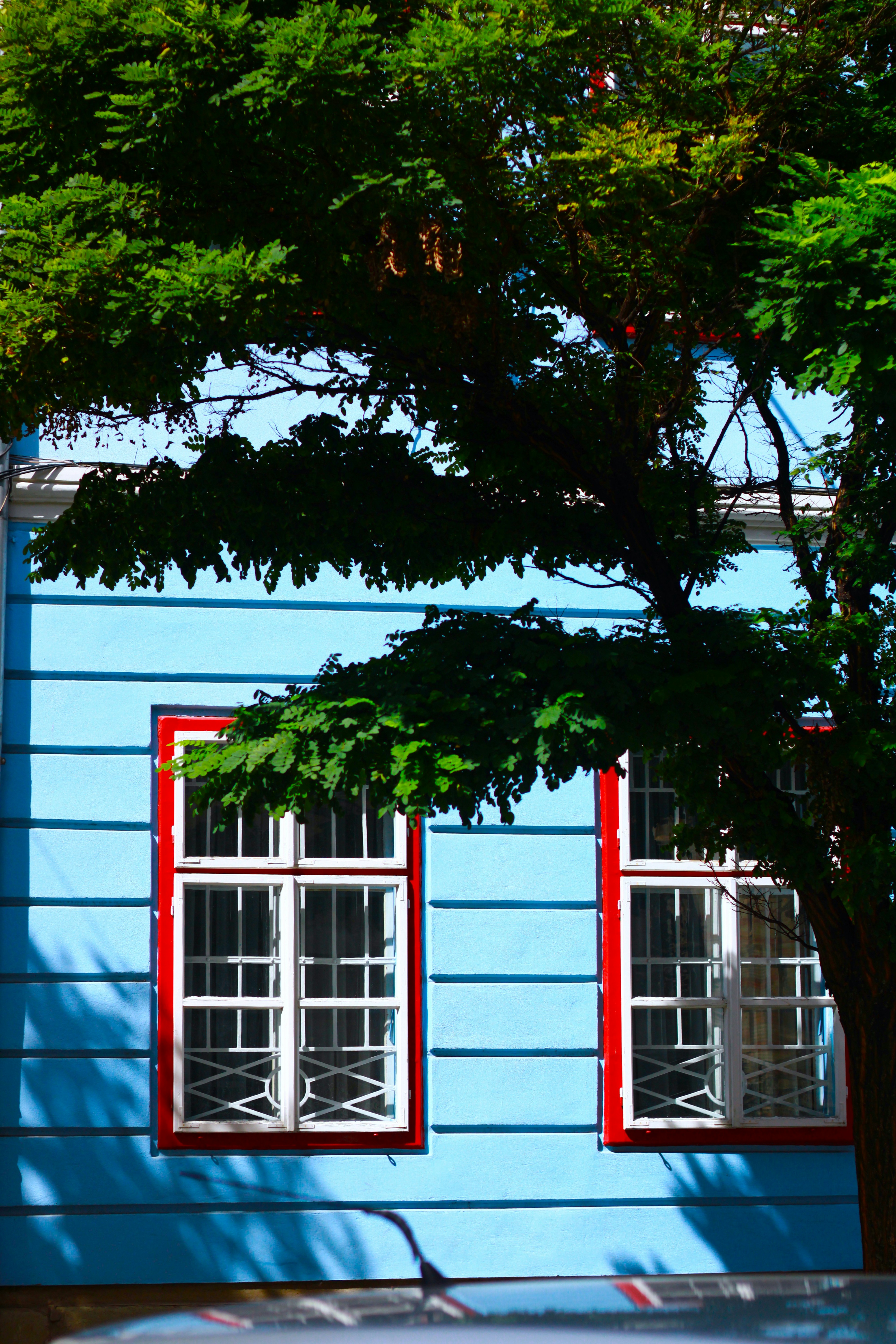 Photo by crisancatalin