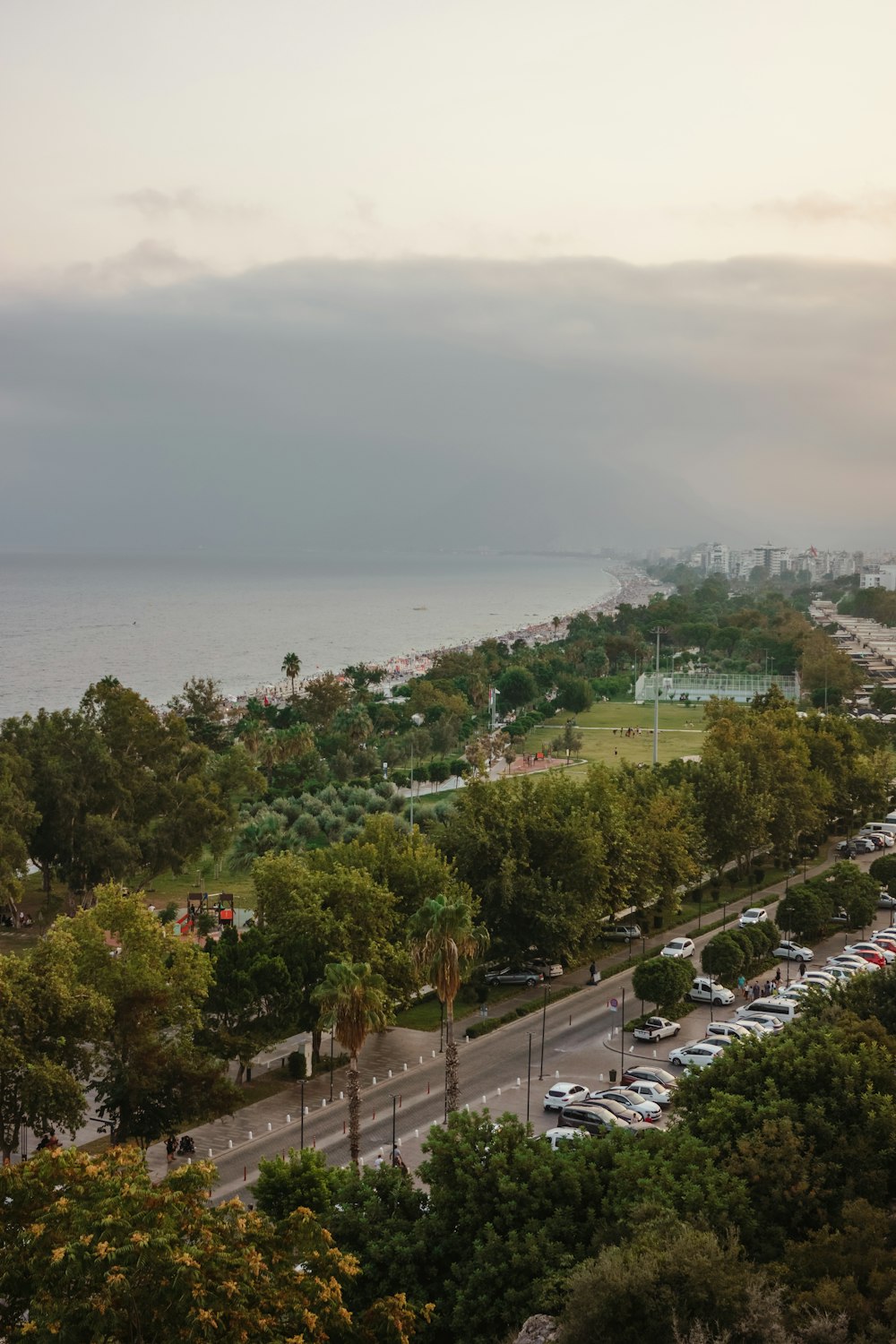 a parking lot with cars and trees by a body of water