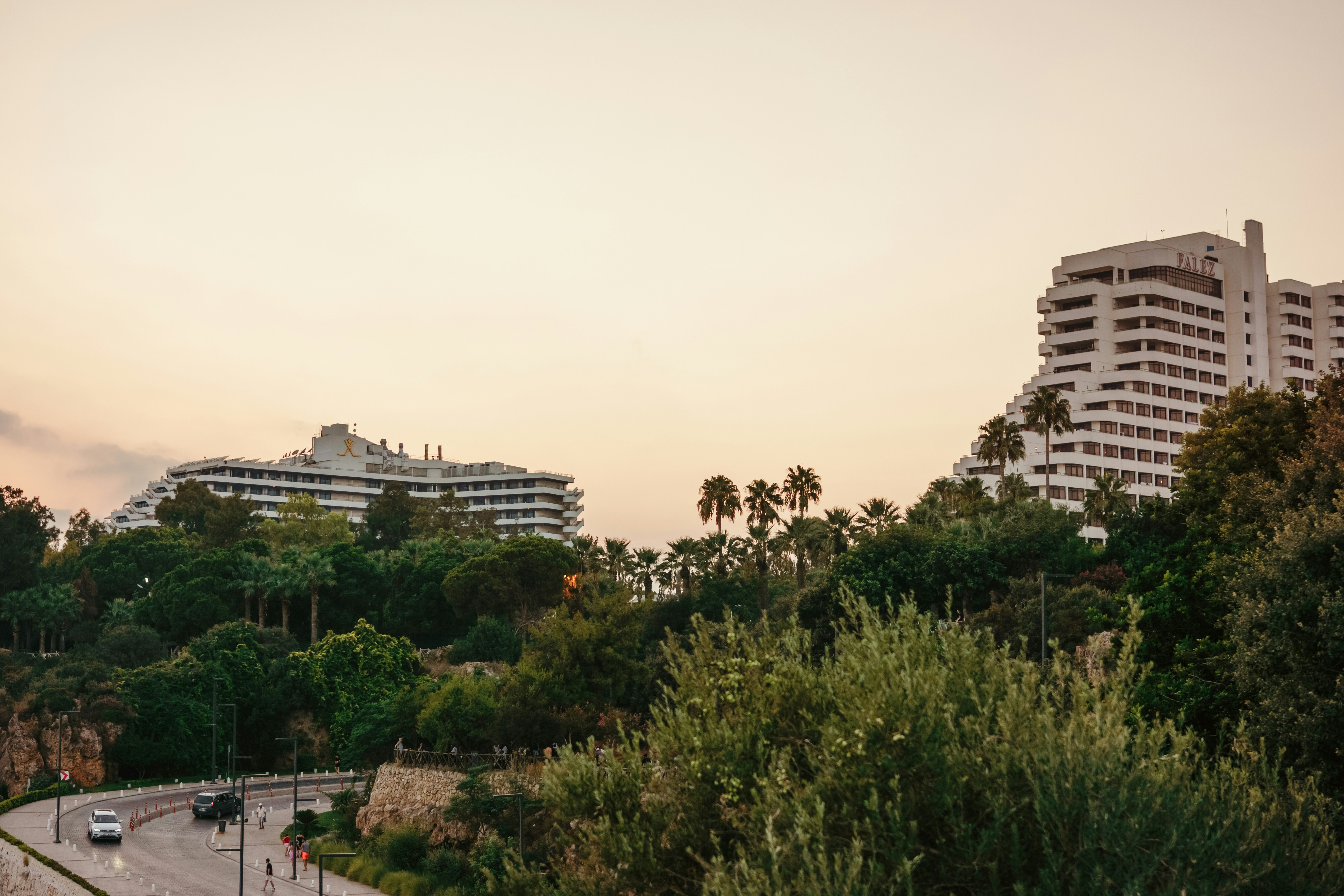 Photo by igorharrier