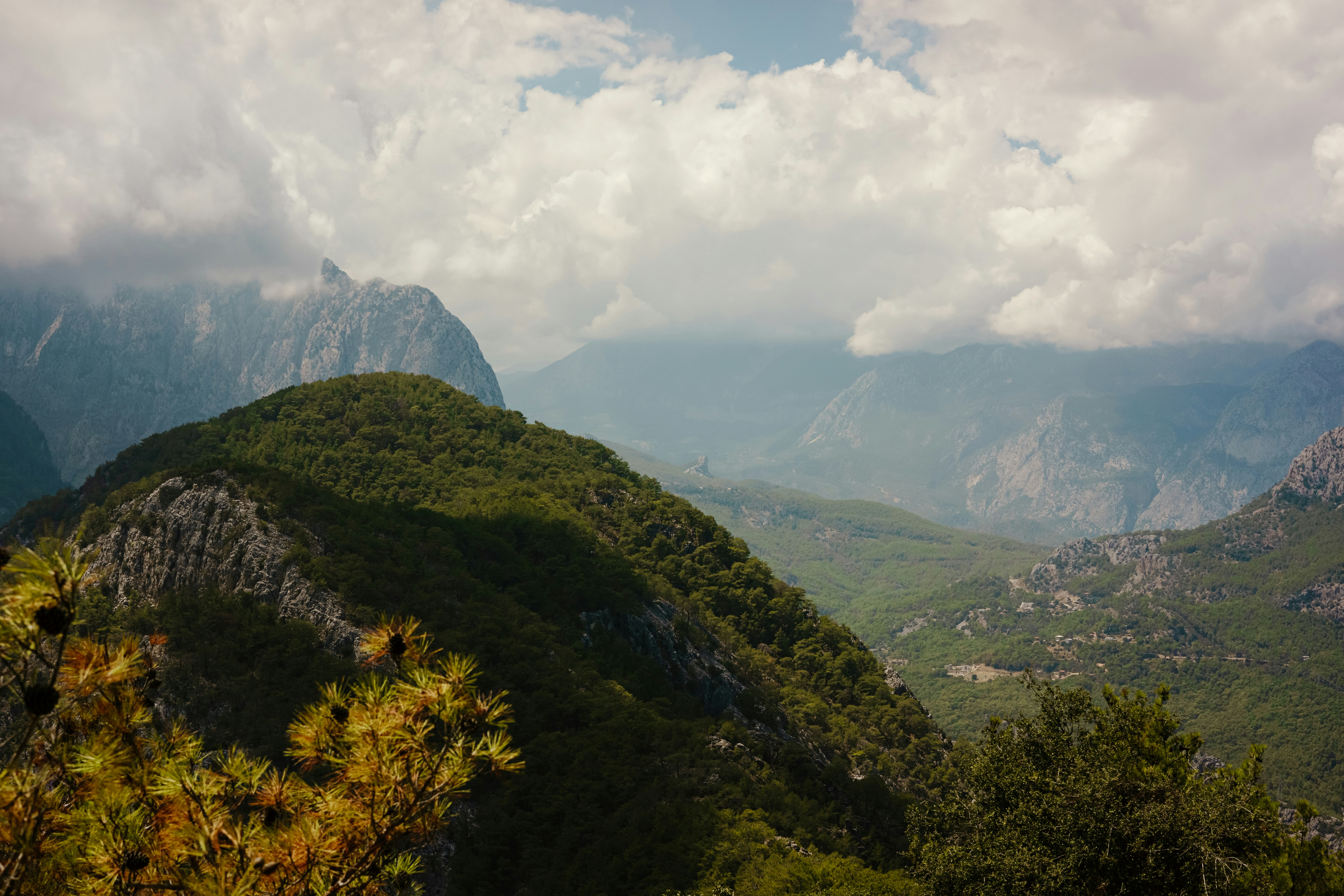 Photo by igorharrier