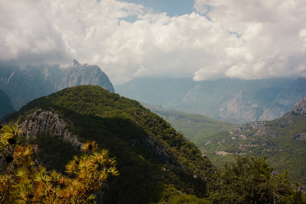 a landscape with mountains and trees