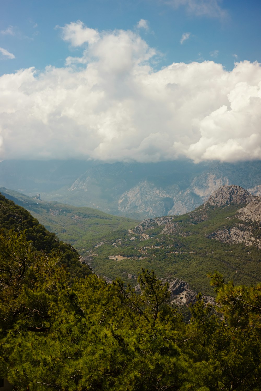 a landscape with trees and mountains