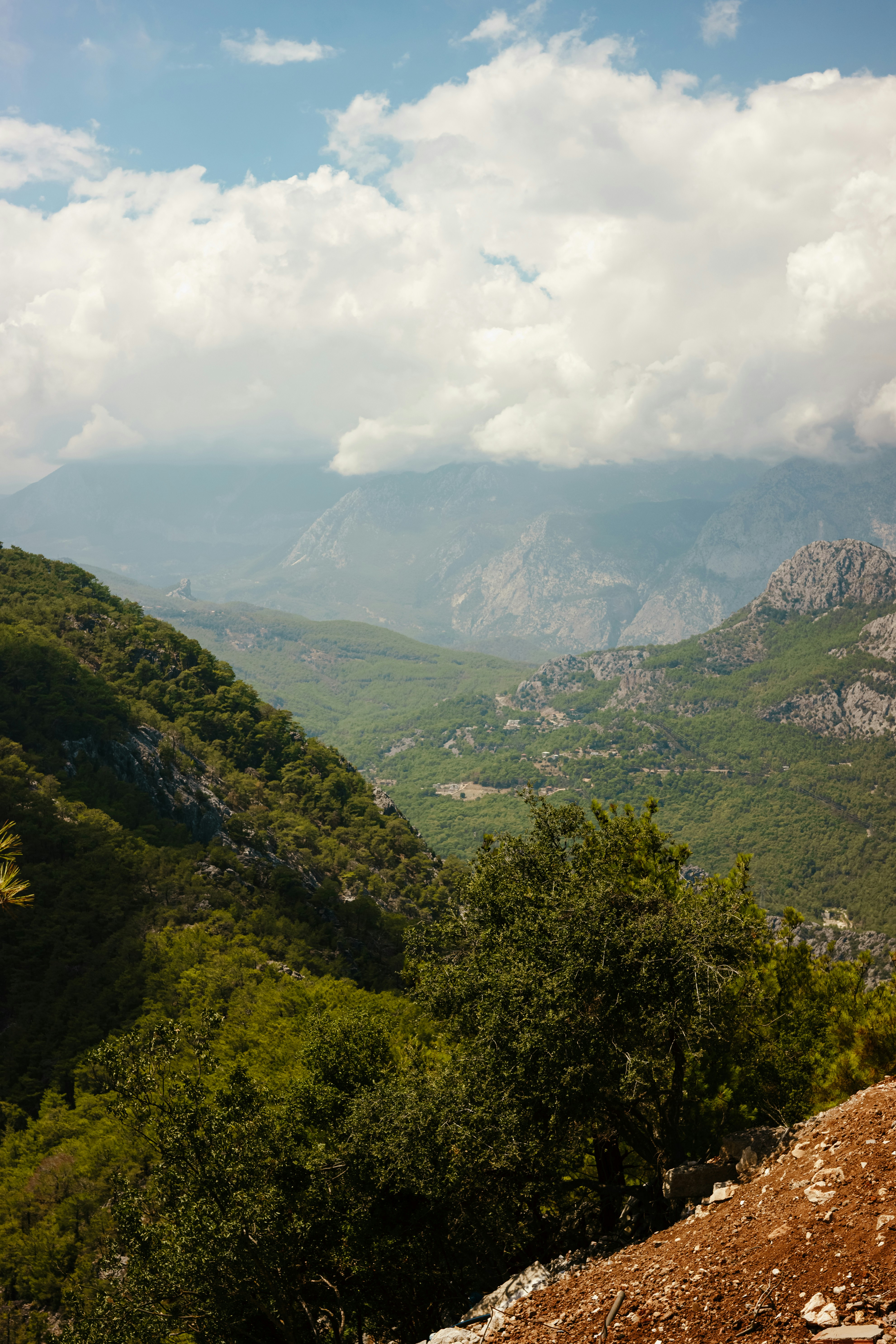 Photo by igorharrier