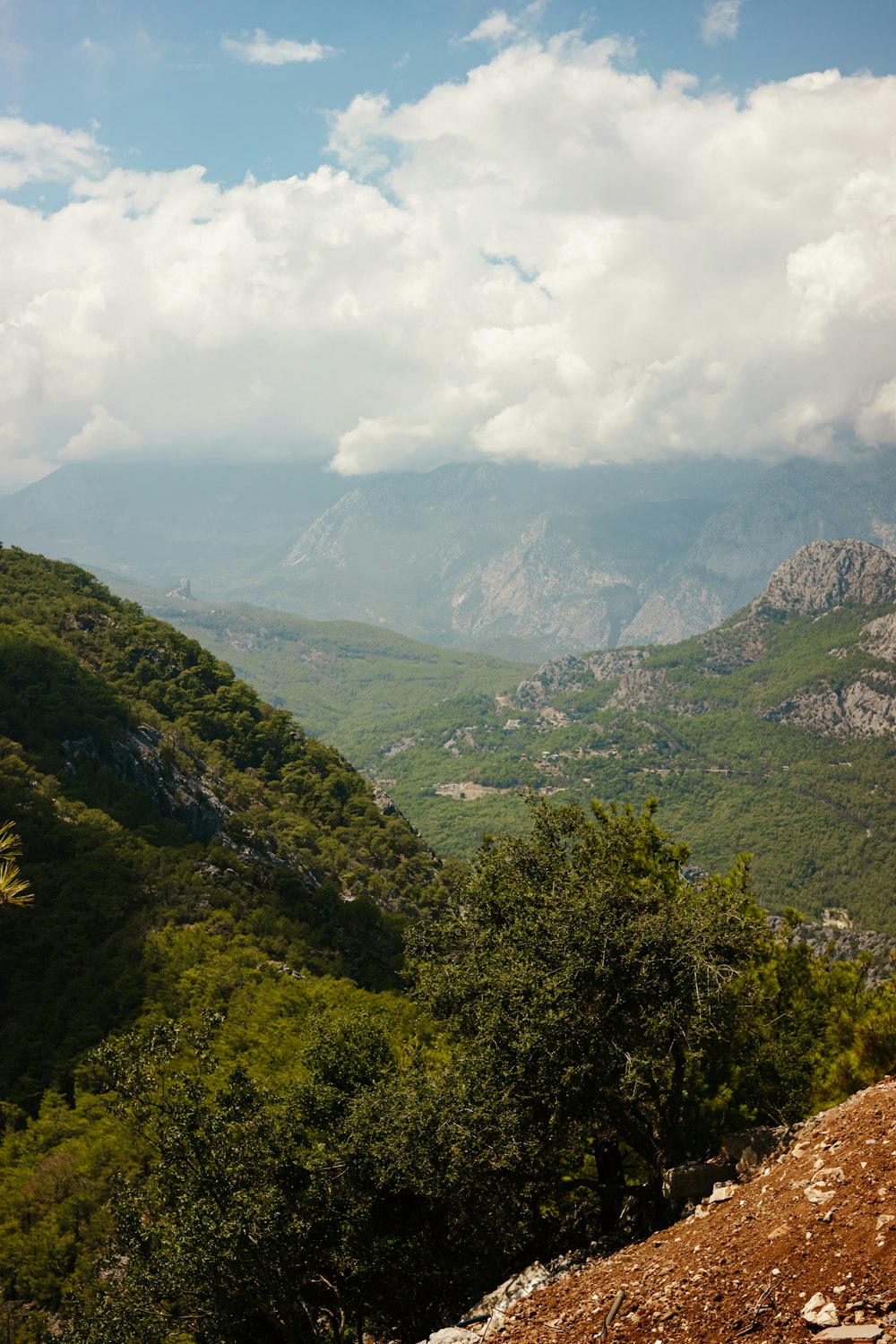 a landscape with trees and mountains