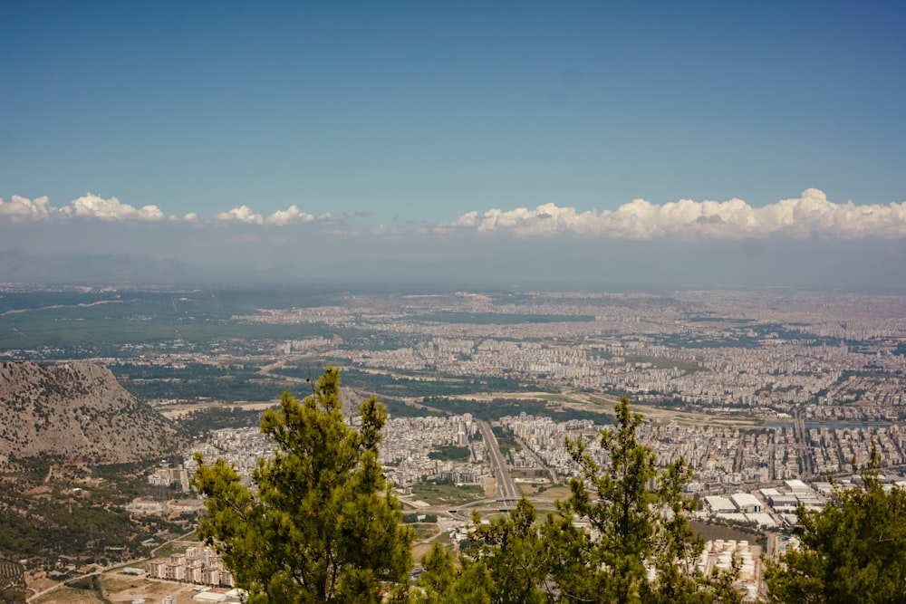 a city with trees and mountains in the background