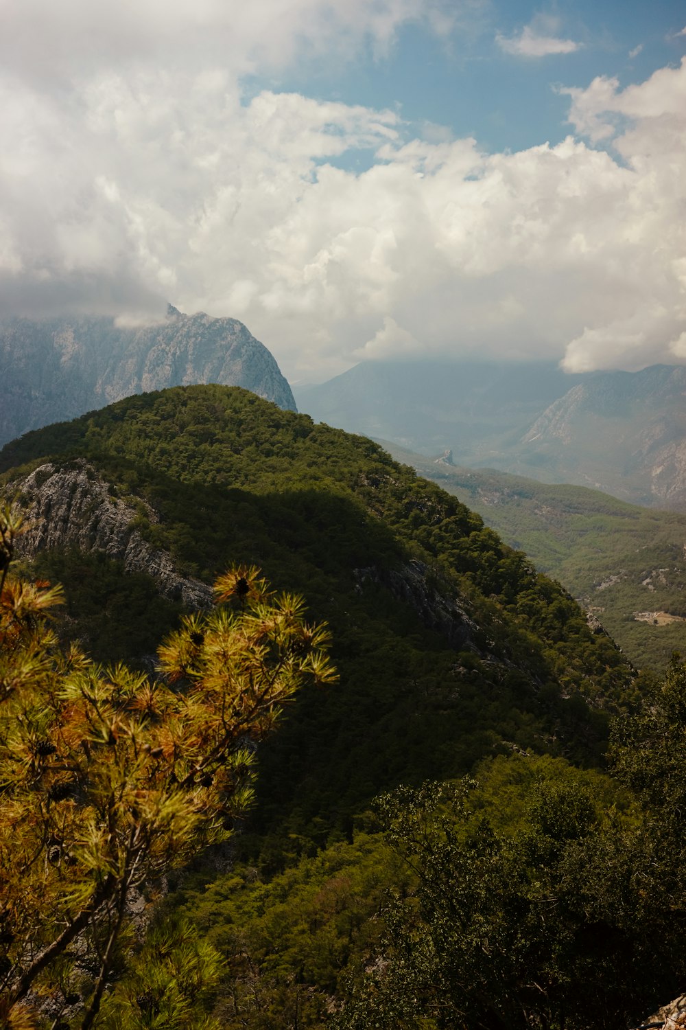 a landscape with trees and mountains