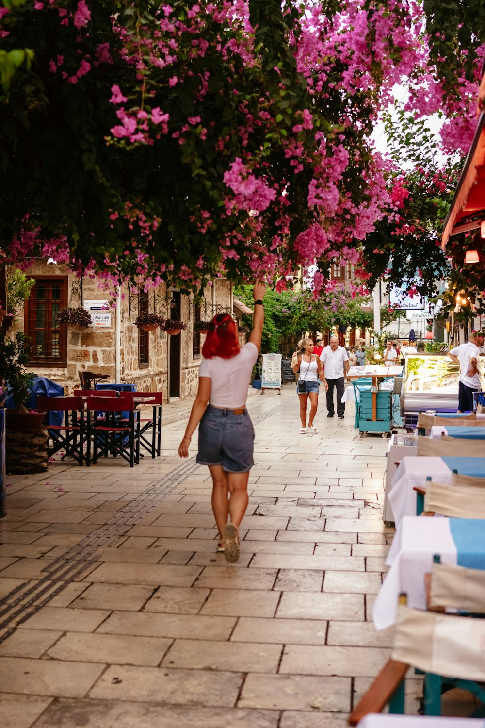 a person walking under a tree with pink flowers