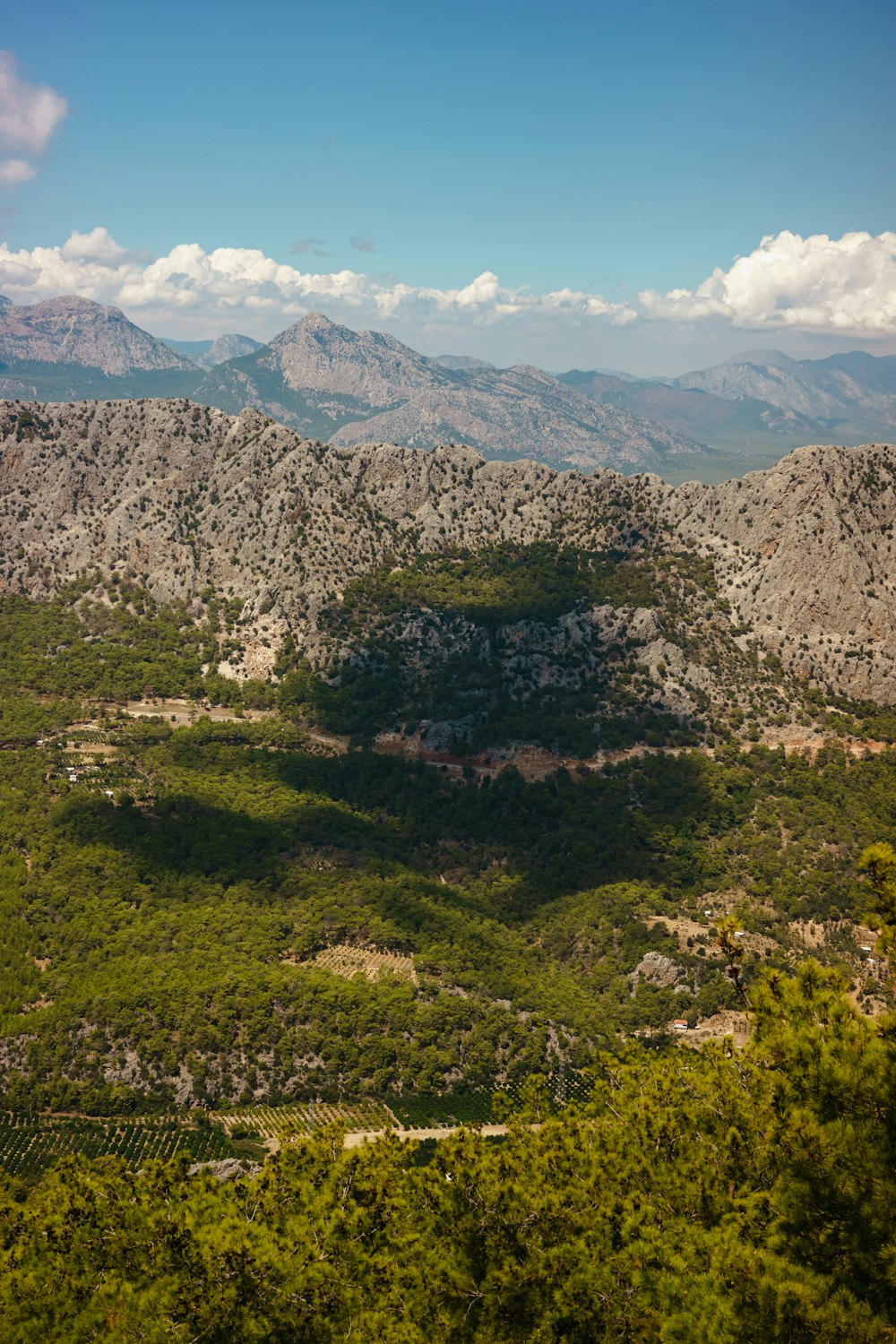 a landscape with mountains and trees