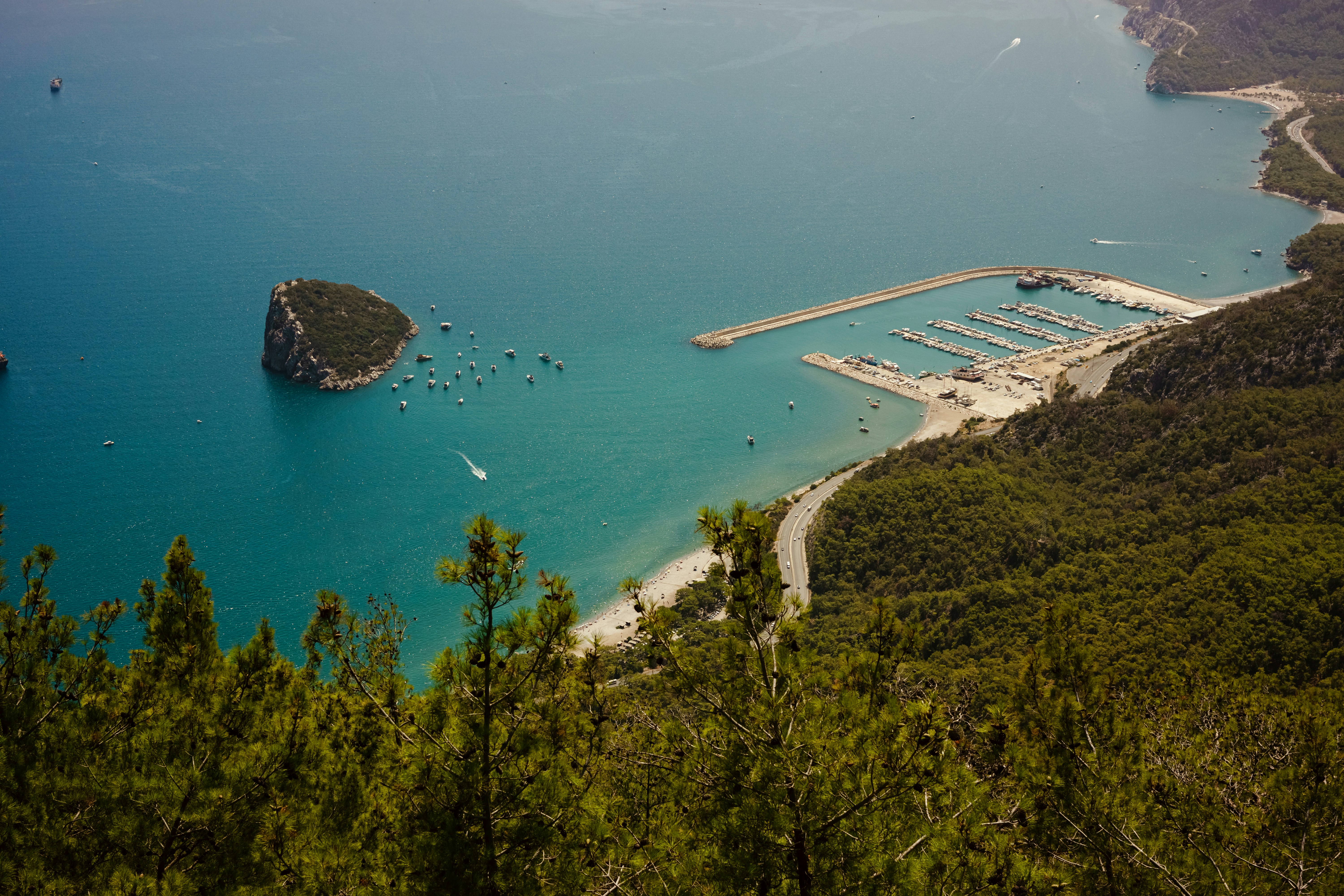 Photo by igorharrier