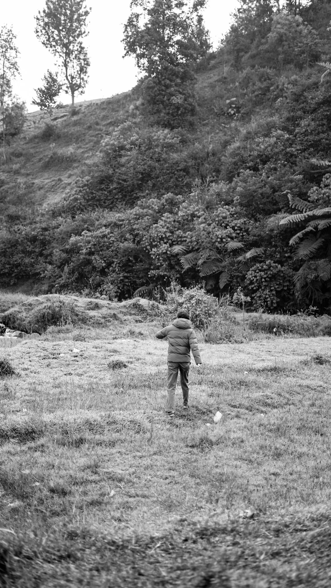 Natural landscape photo spot Bandung Kebun Raya Bogor