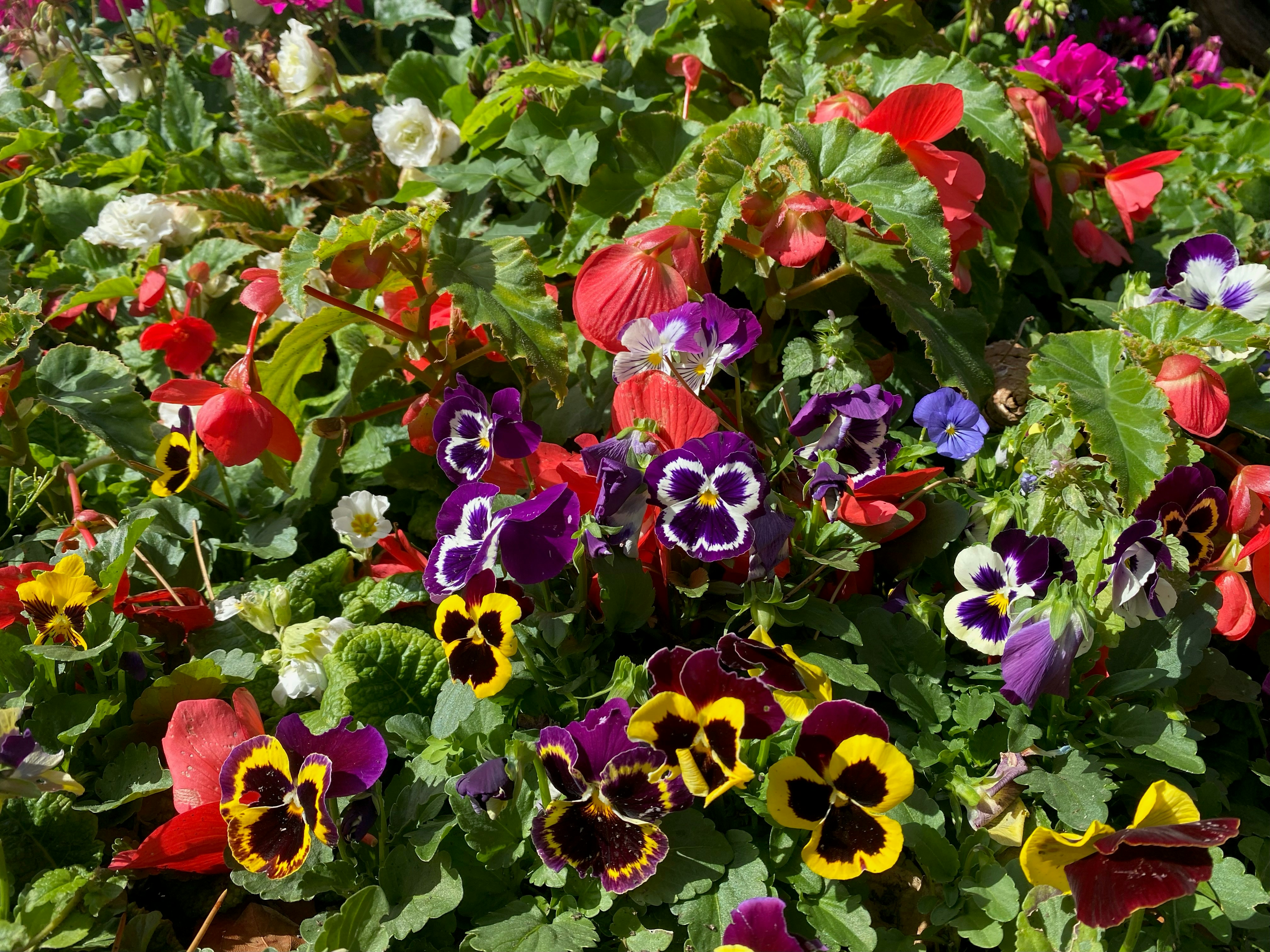 Photo by alvarogodoy