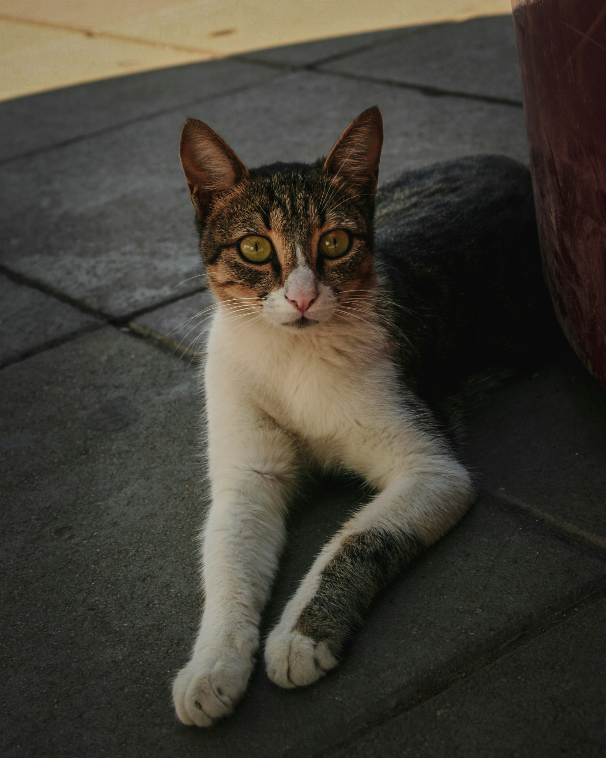 Photo by bita_eskandari