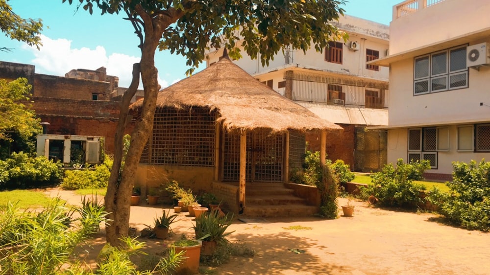 a house with a grass roof