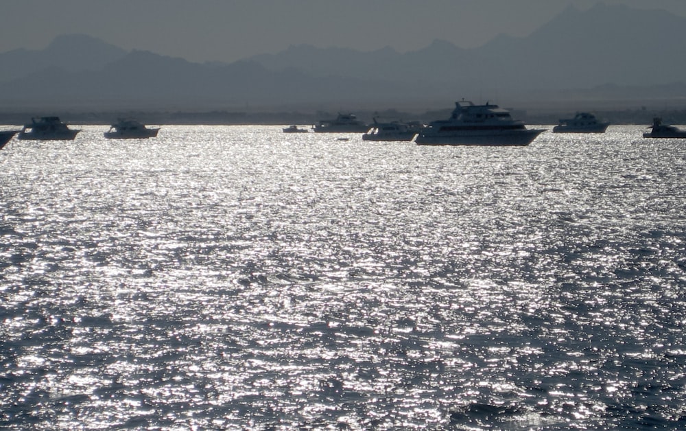 a group of boats in the water