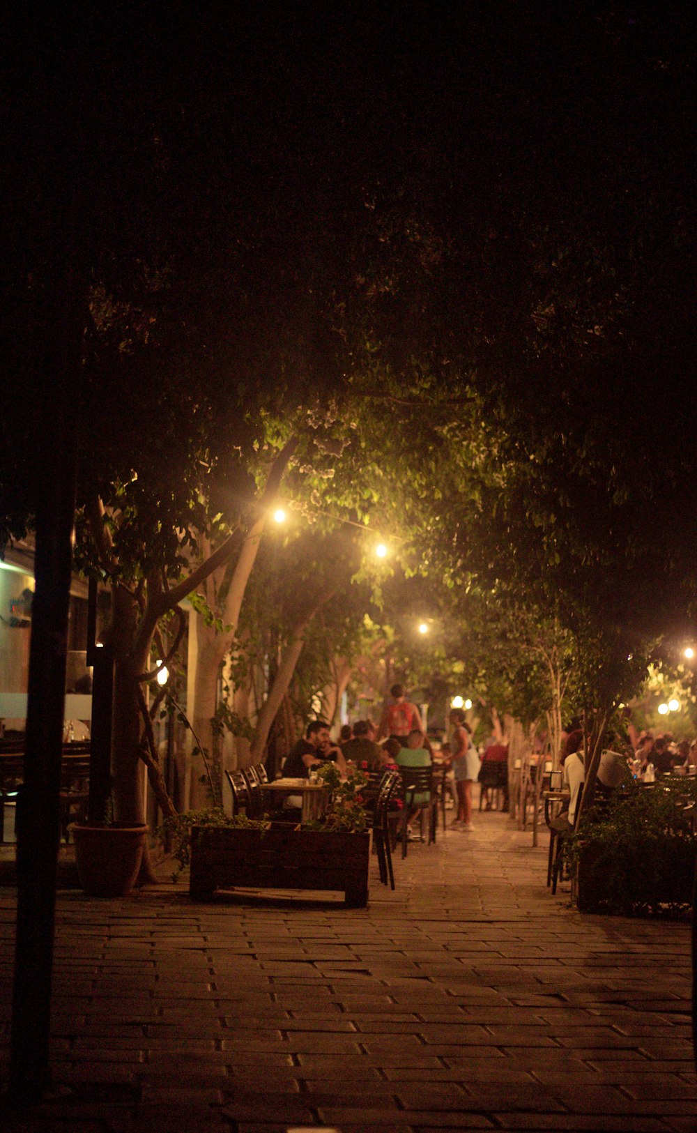 a group of people sitting at a table under a tree at night