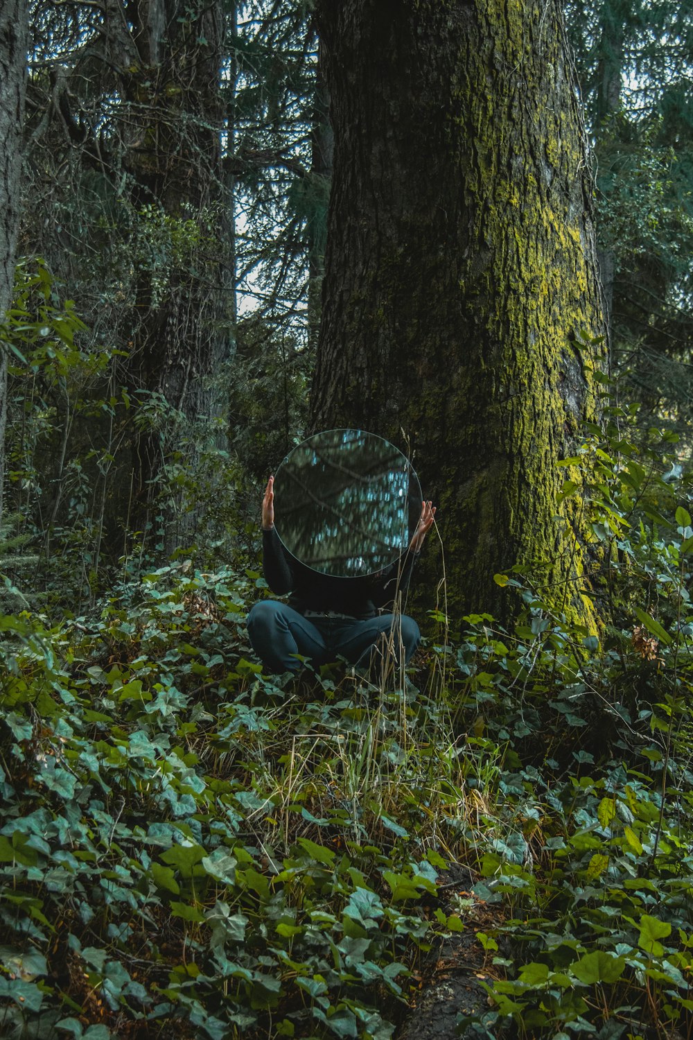 a person sitting in a chair in a tree