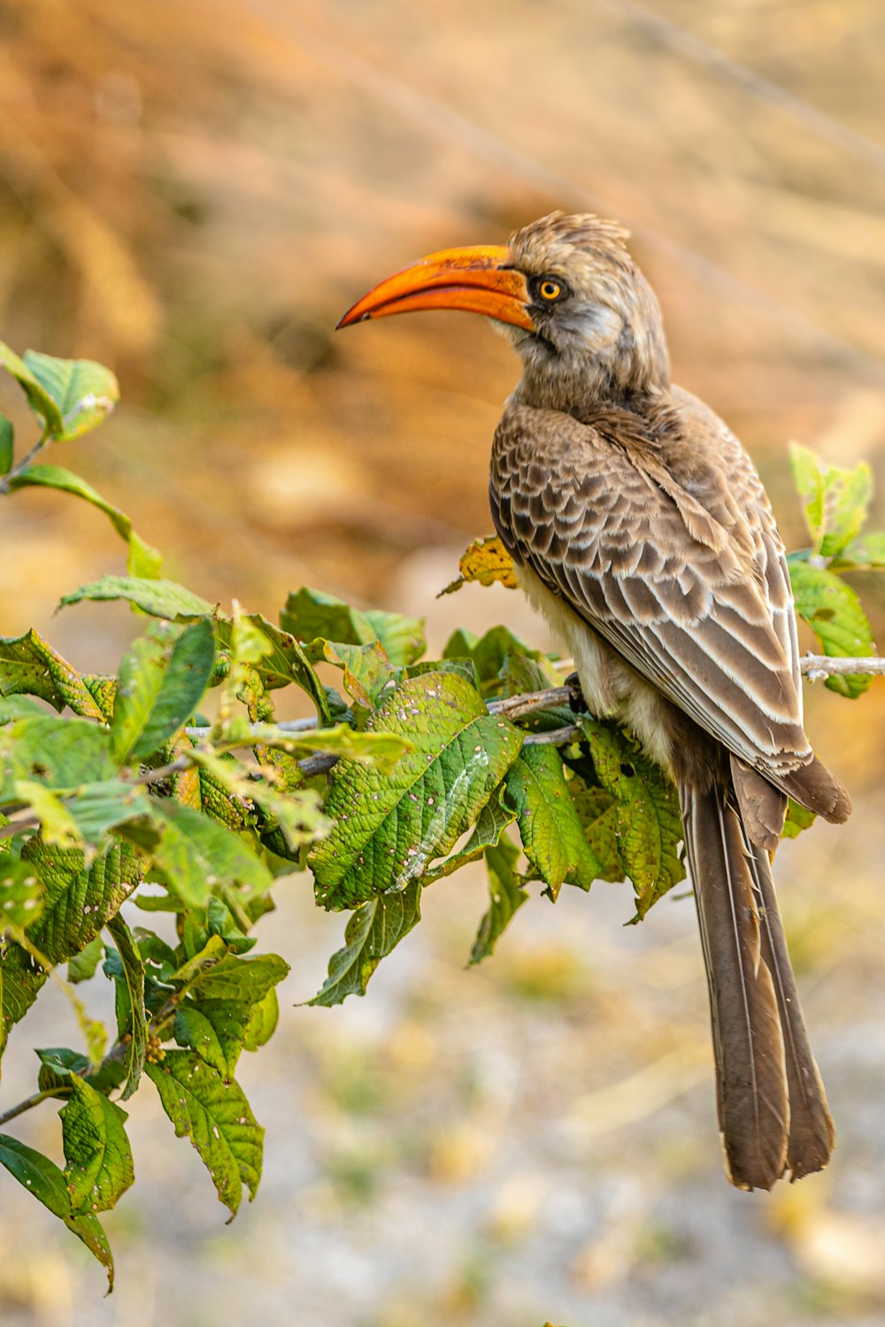 a bird perched on a branch