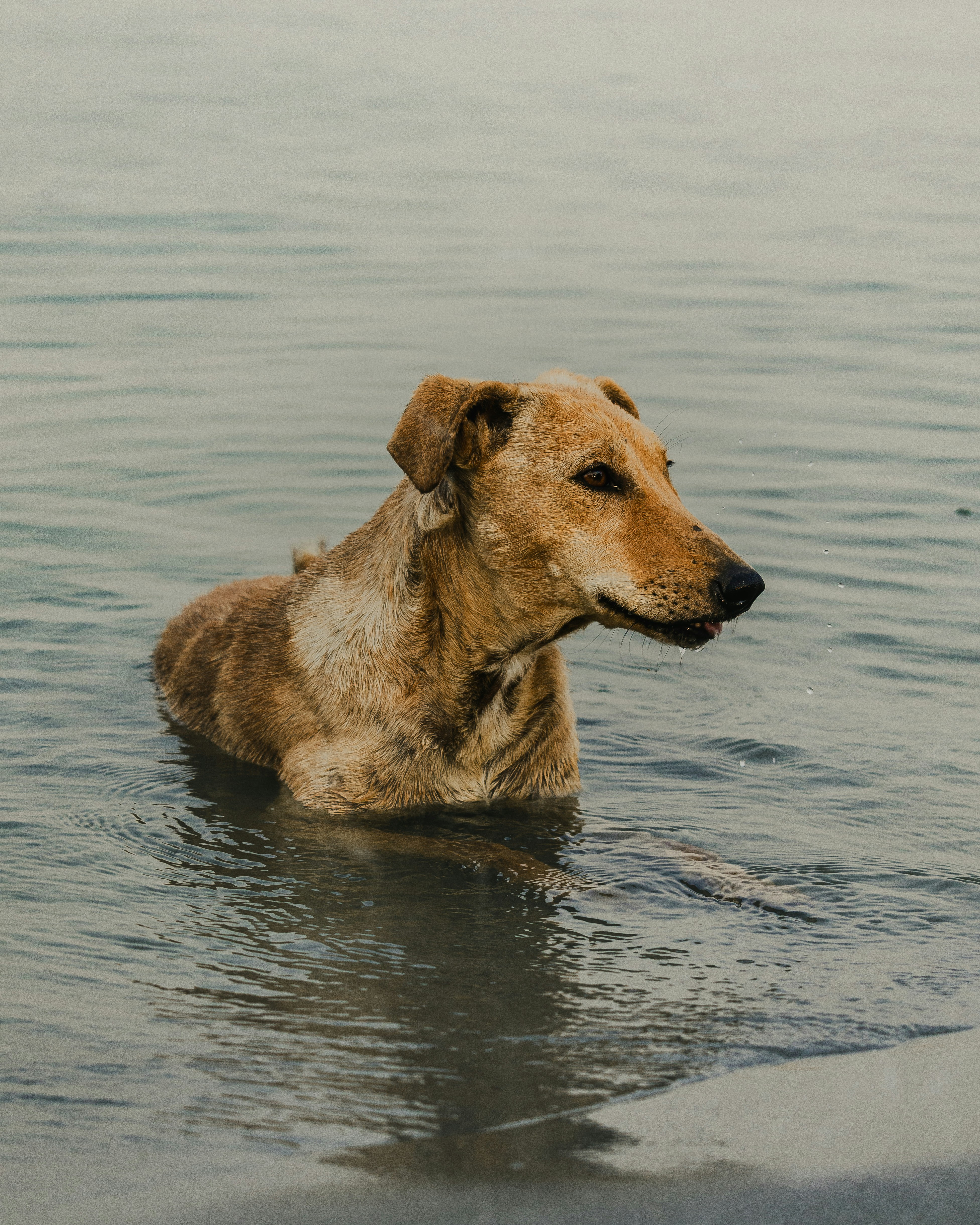 Photo by brajendra_lens_a_lot_