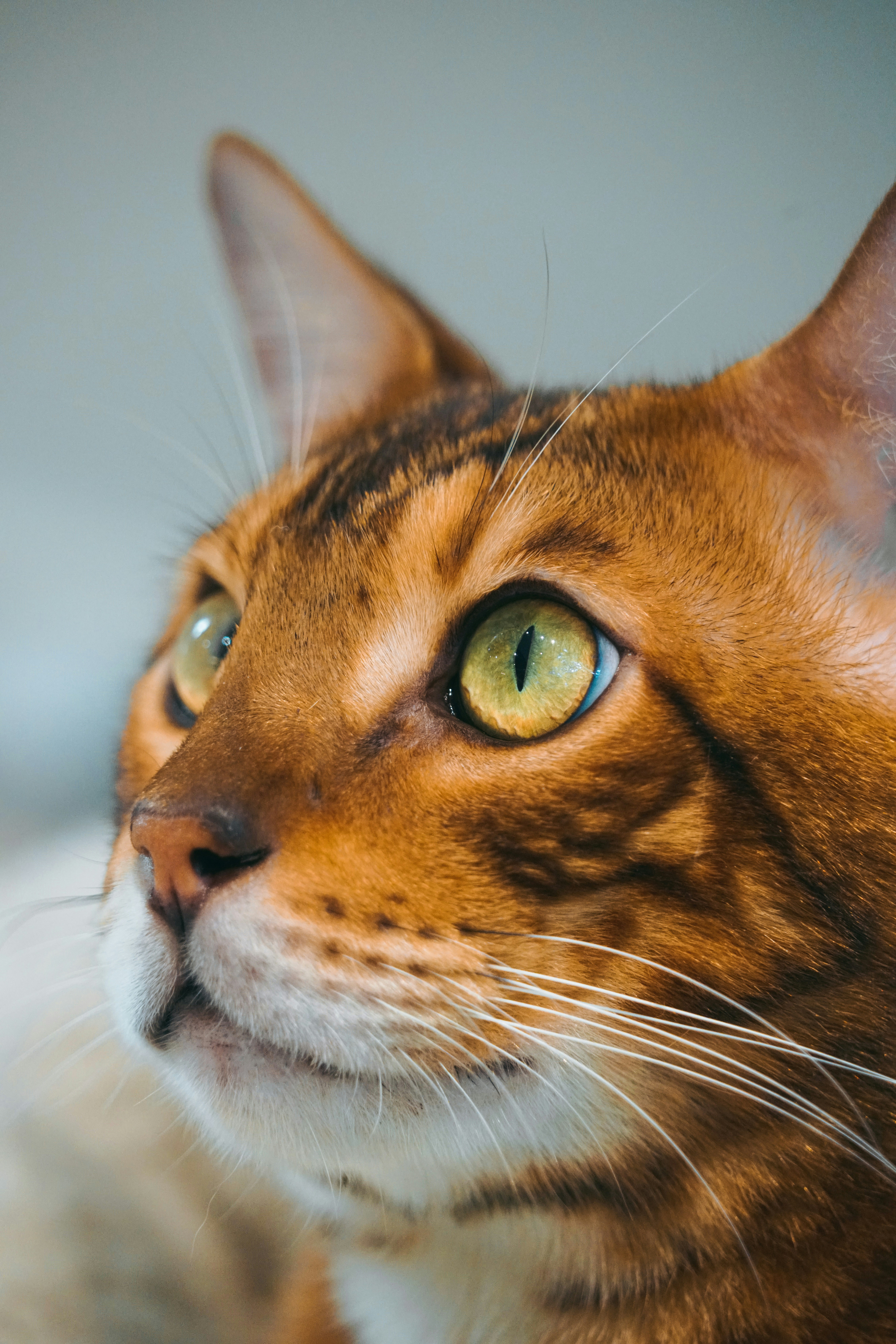 Photo by deanchampions