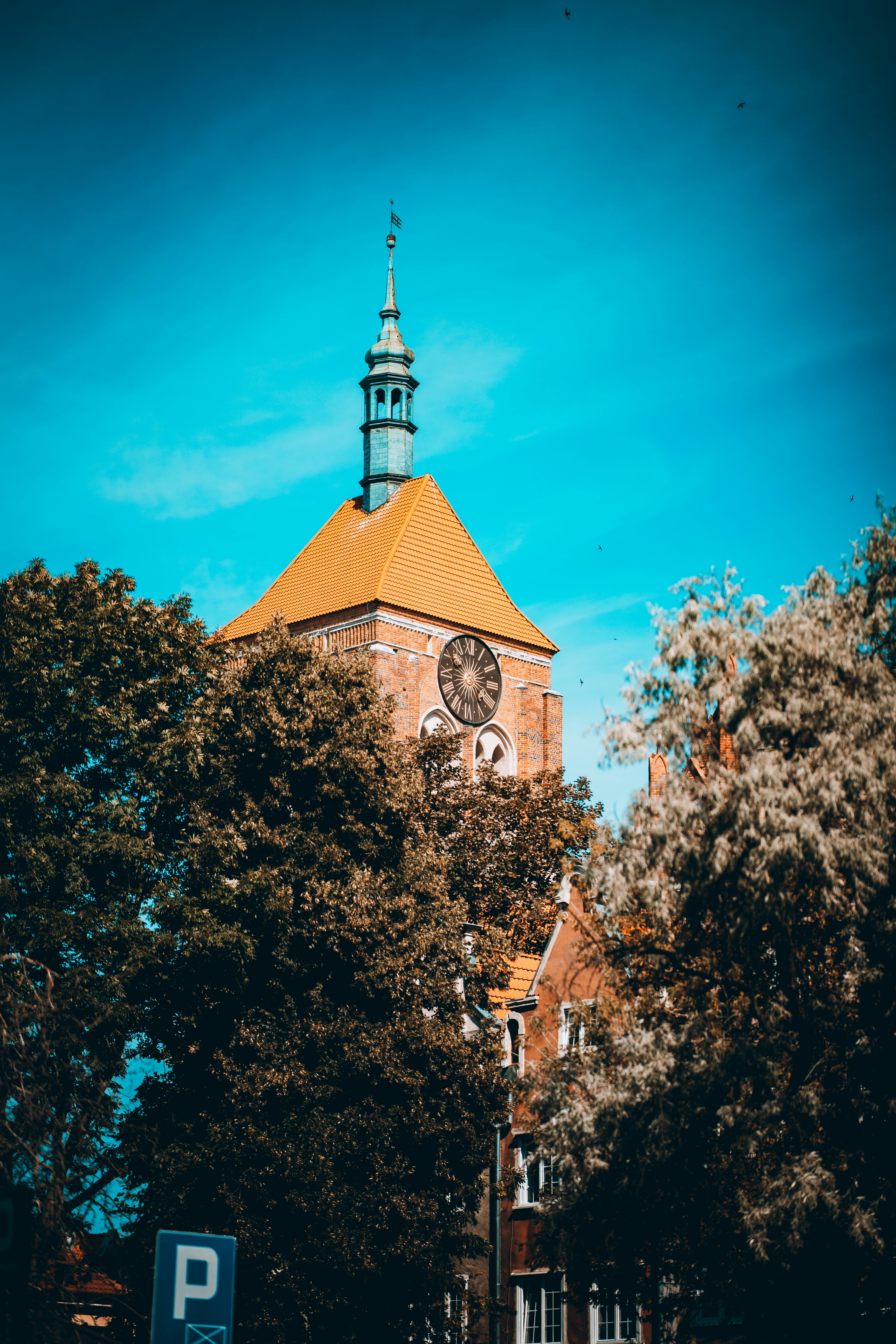 Photo by shields_mcmxcix