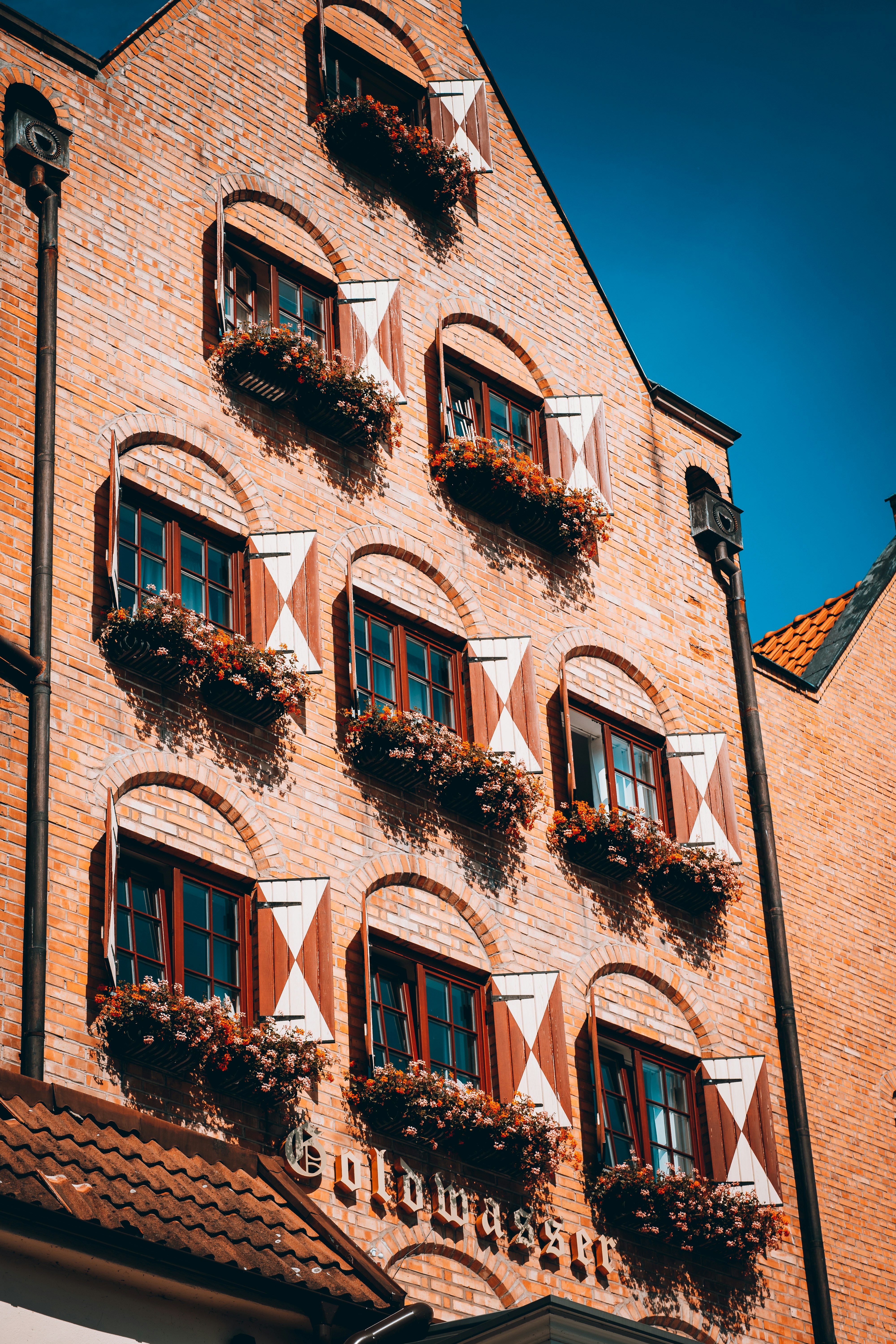 Photo by shields_mcmxcix