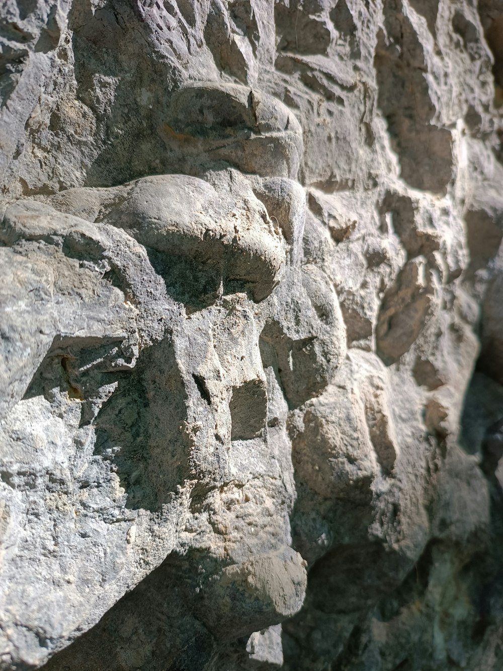 a close-up of a rock wall