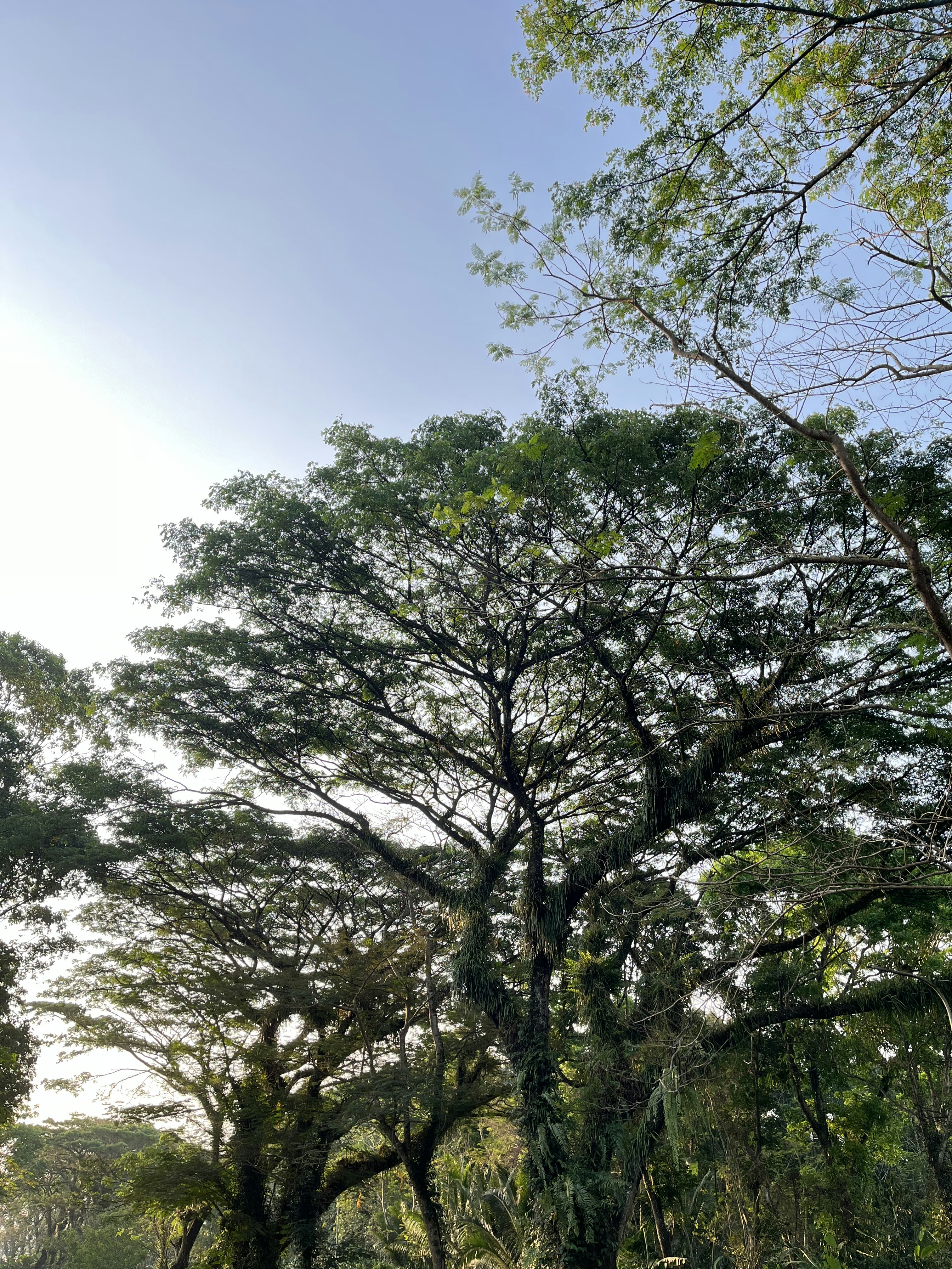 Photo by habiibamrullh43