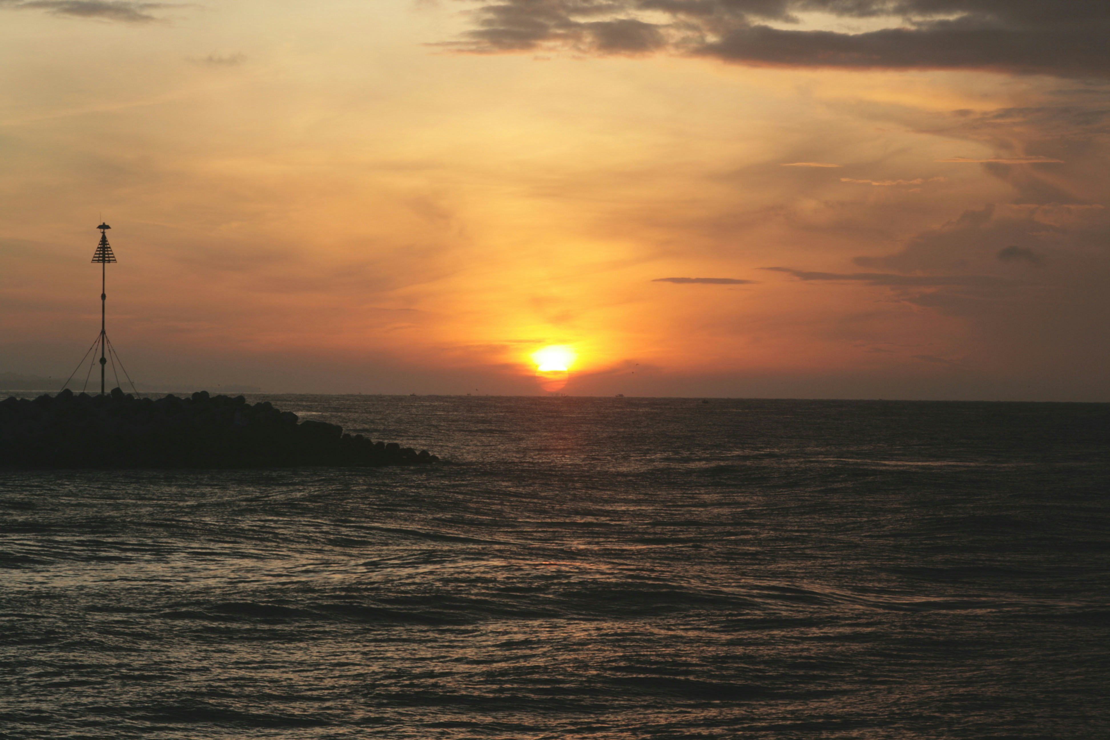 Photo by lycanthropeib