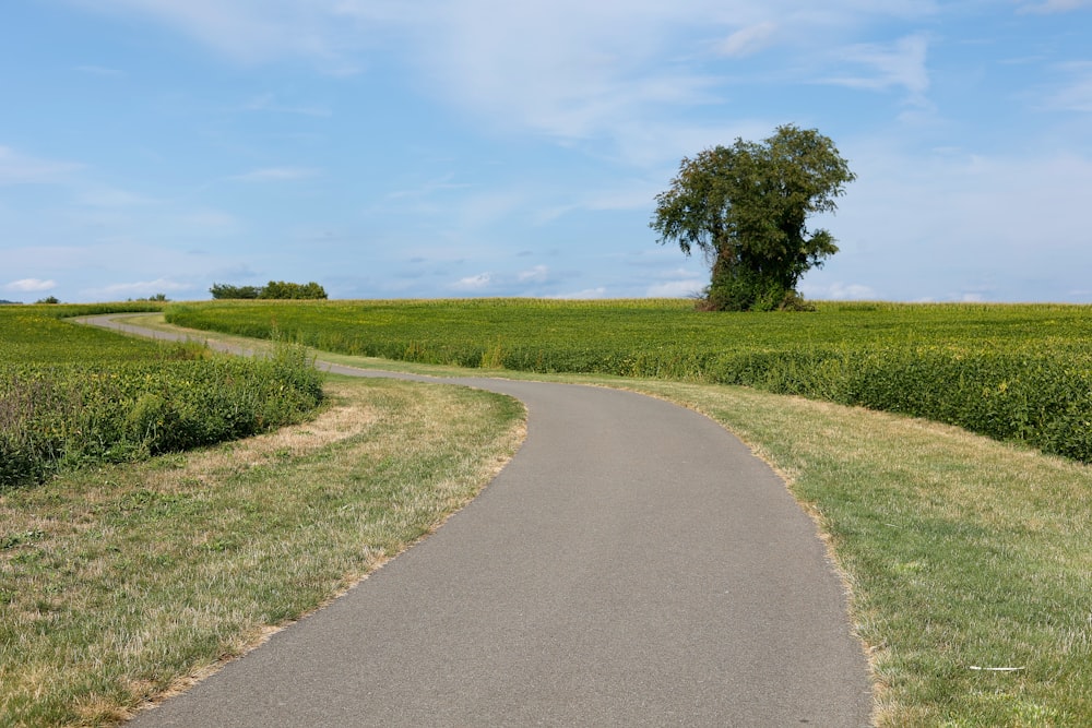 a road with grass and trees on the side