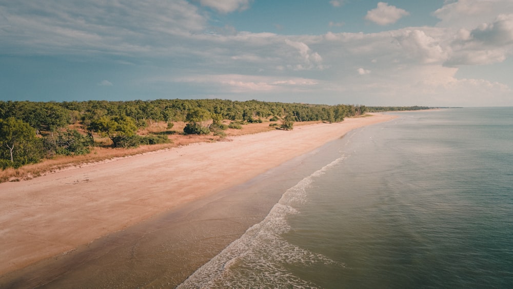 a sandy beach with trees on the side