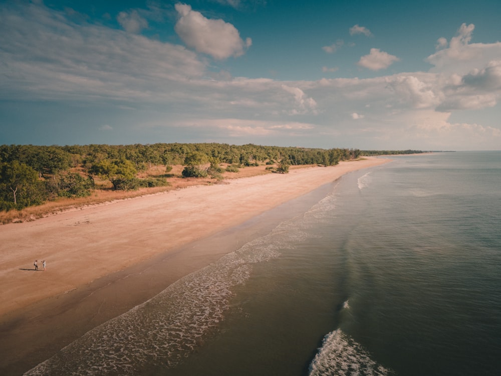 a sandy beach with trees and blue sky