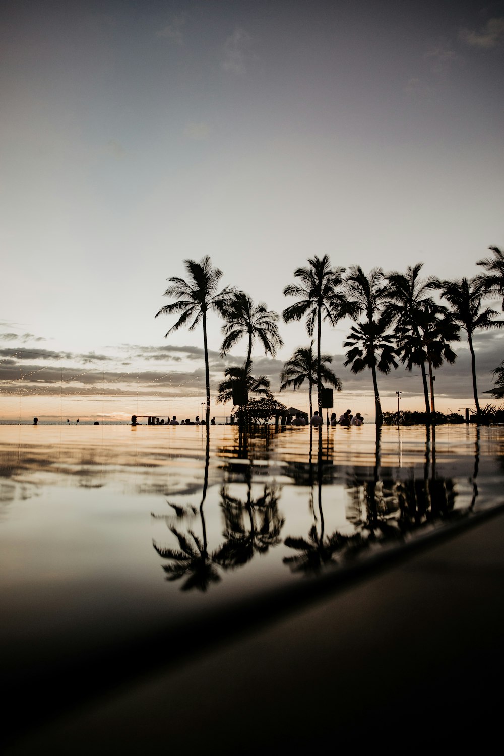 a beach with palm trees