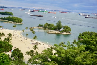 a beach with boats and people