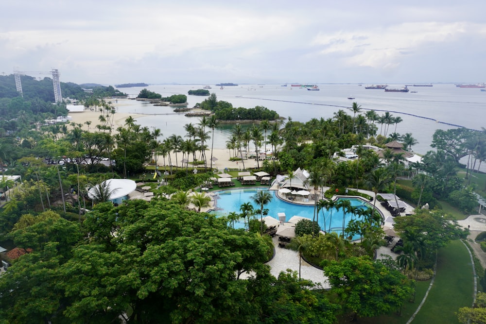 a pool surrounded by trees and a body of water