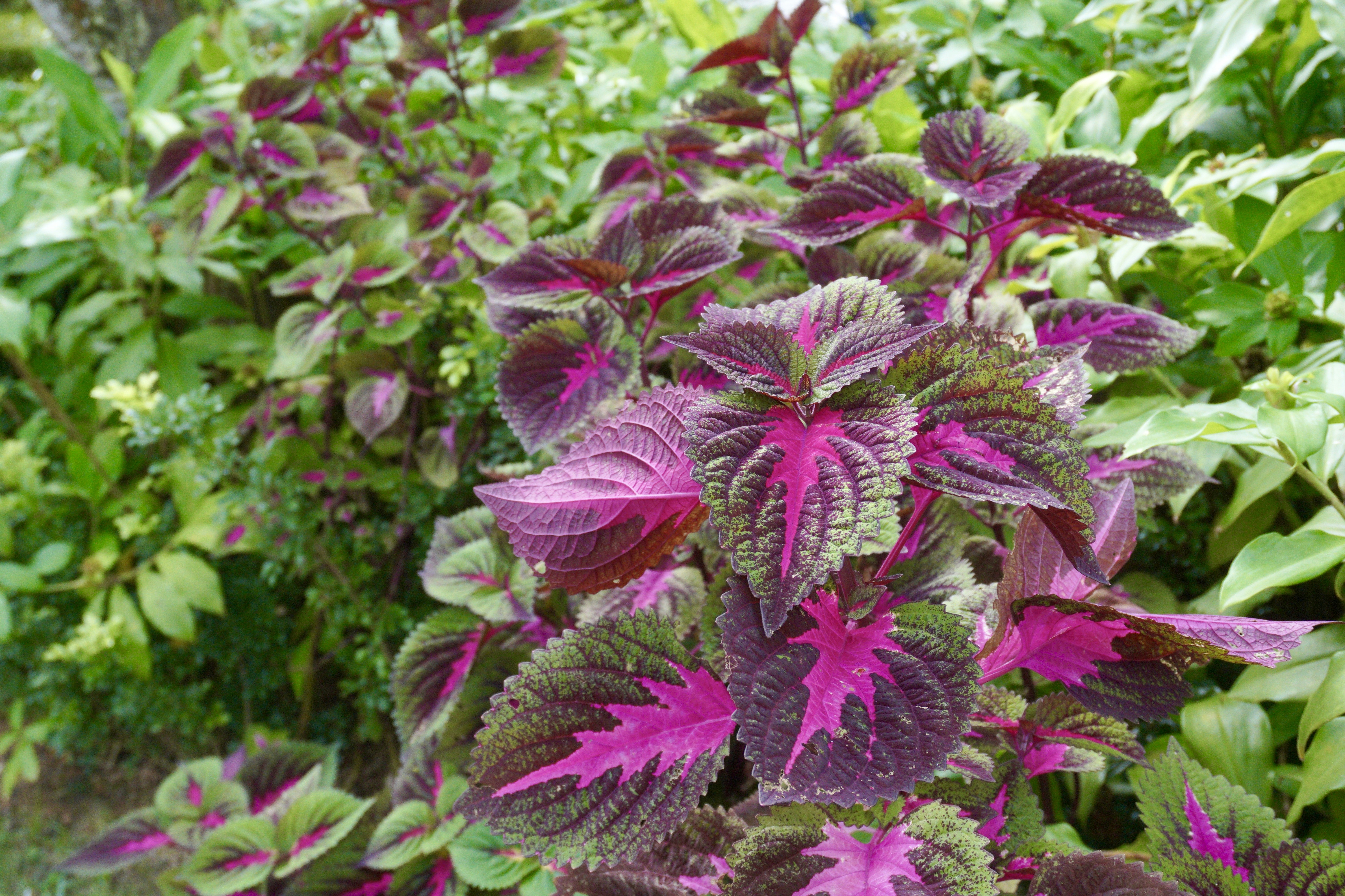 Photo by healthywithaparna