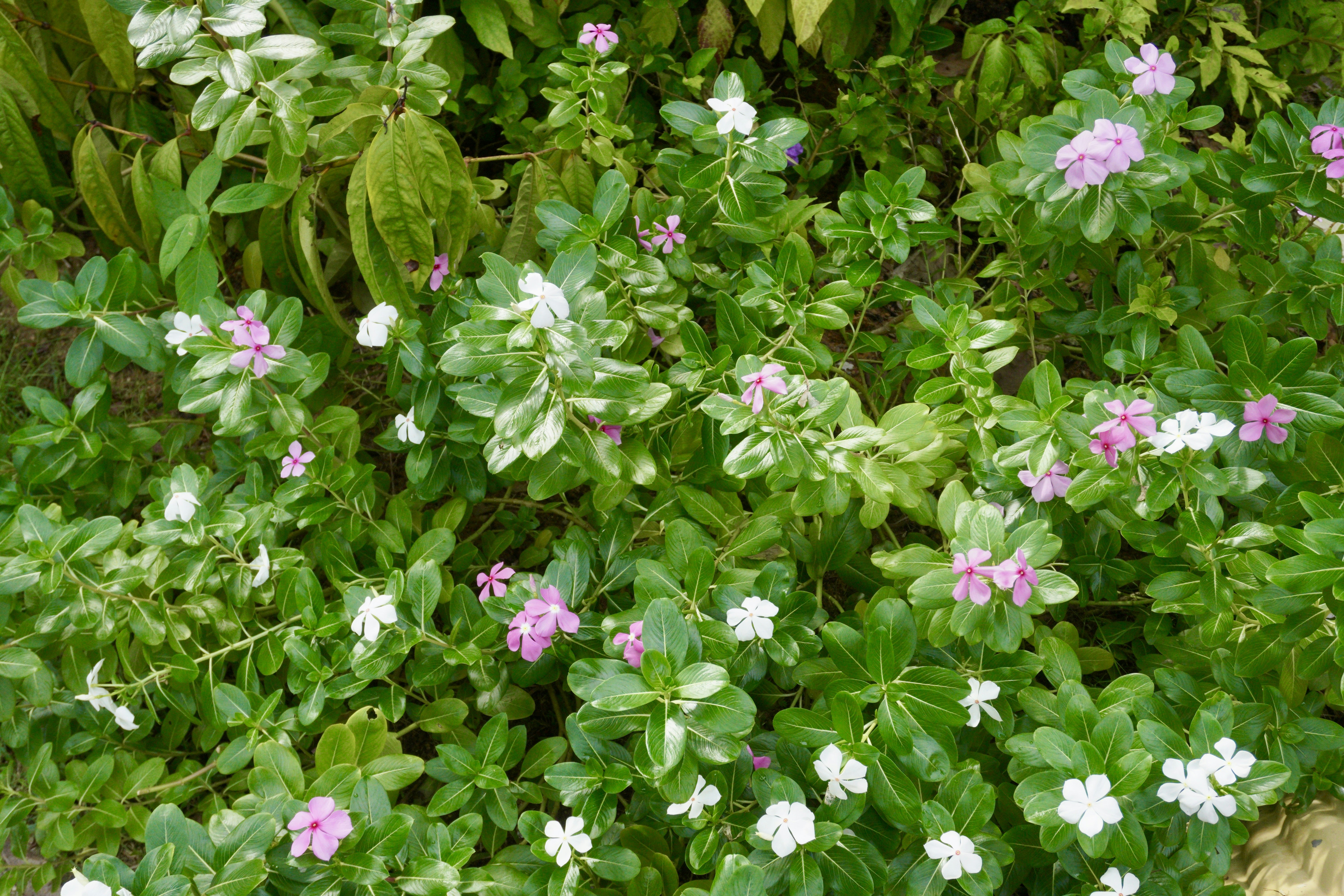 Photo by healthywithaparna