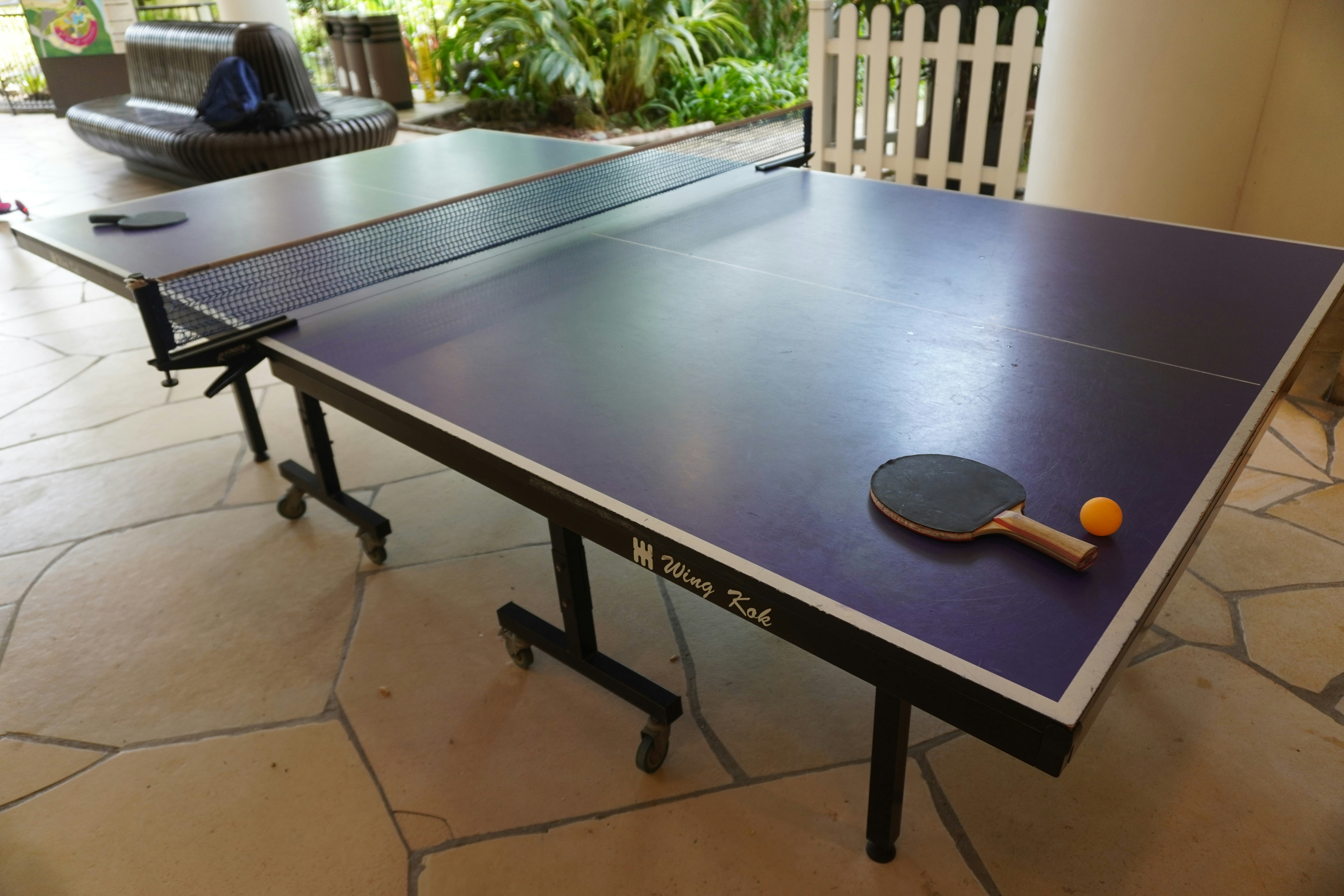 table tennis wallpaper, wallpaper, Sejarah Tenis Meja: Asal Usul, Perkembangan, dan Popularitas 3