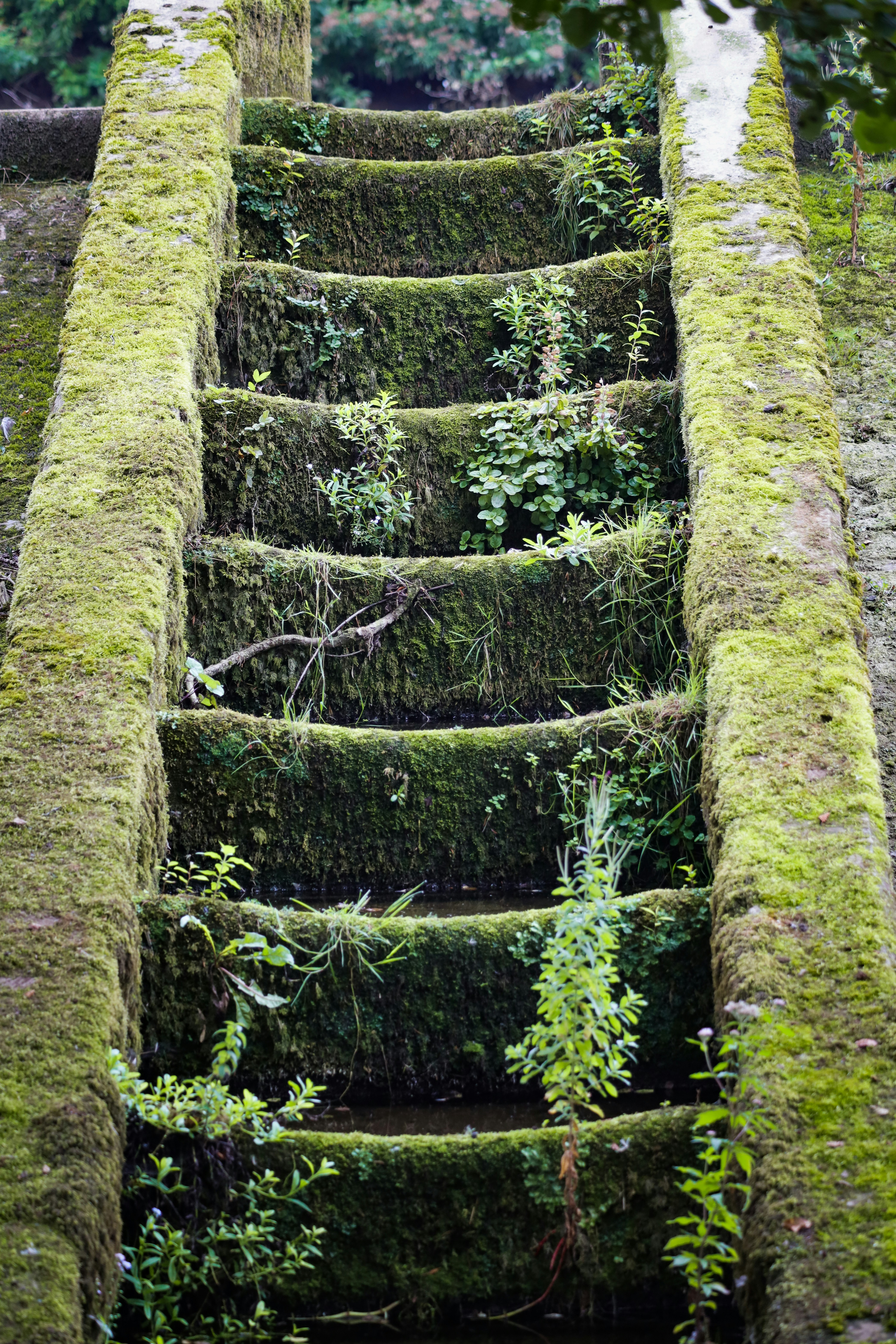 Photo by grievek1610begur