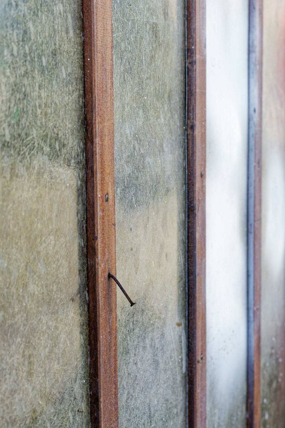 a bird on a wall