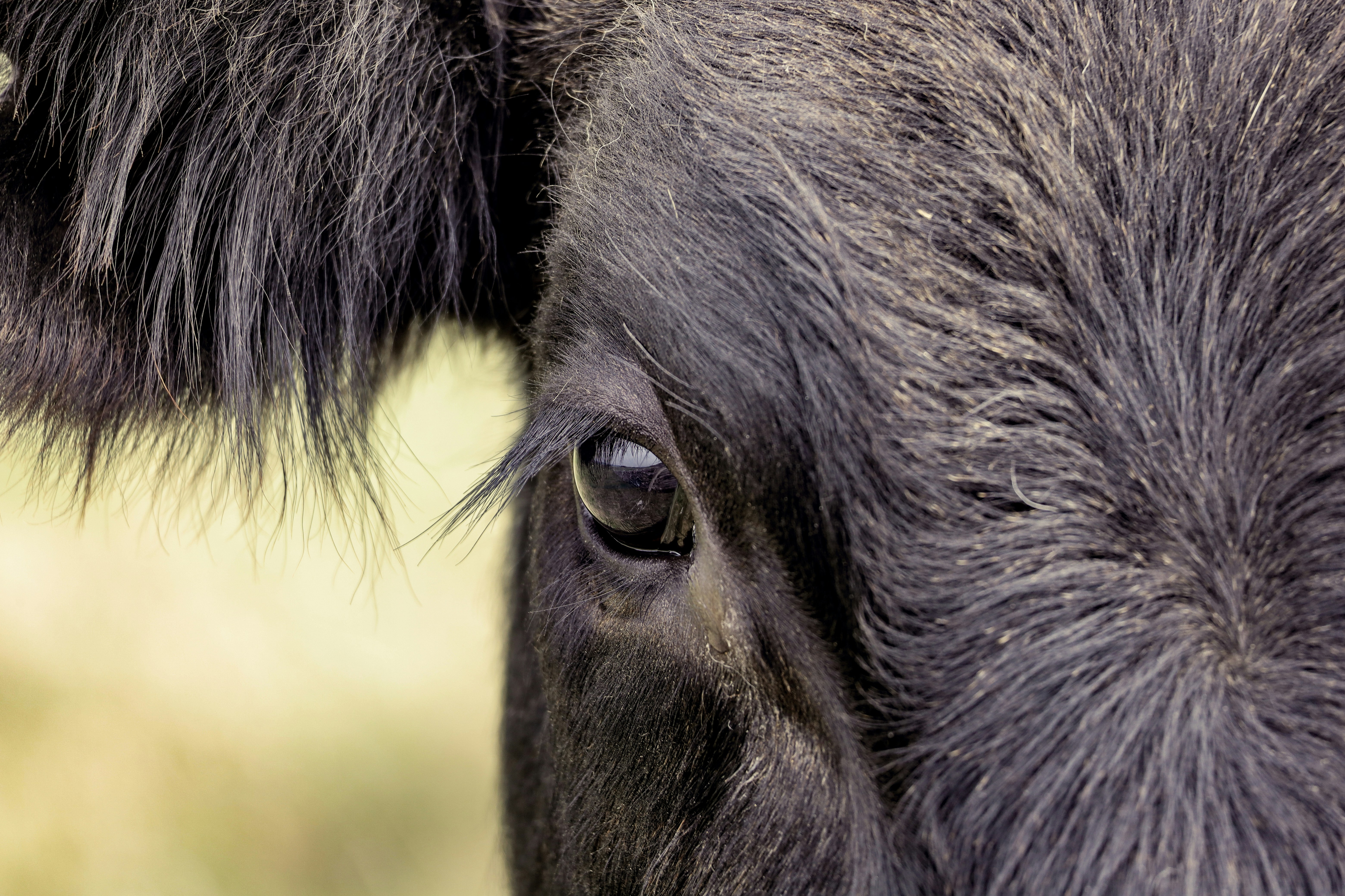 Photo by grievek1610begur