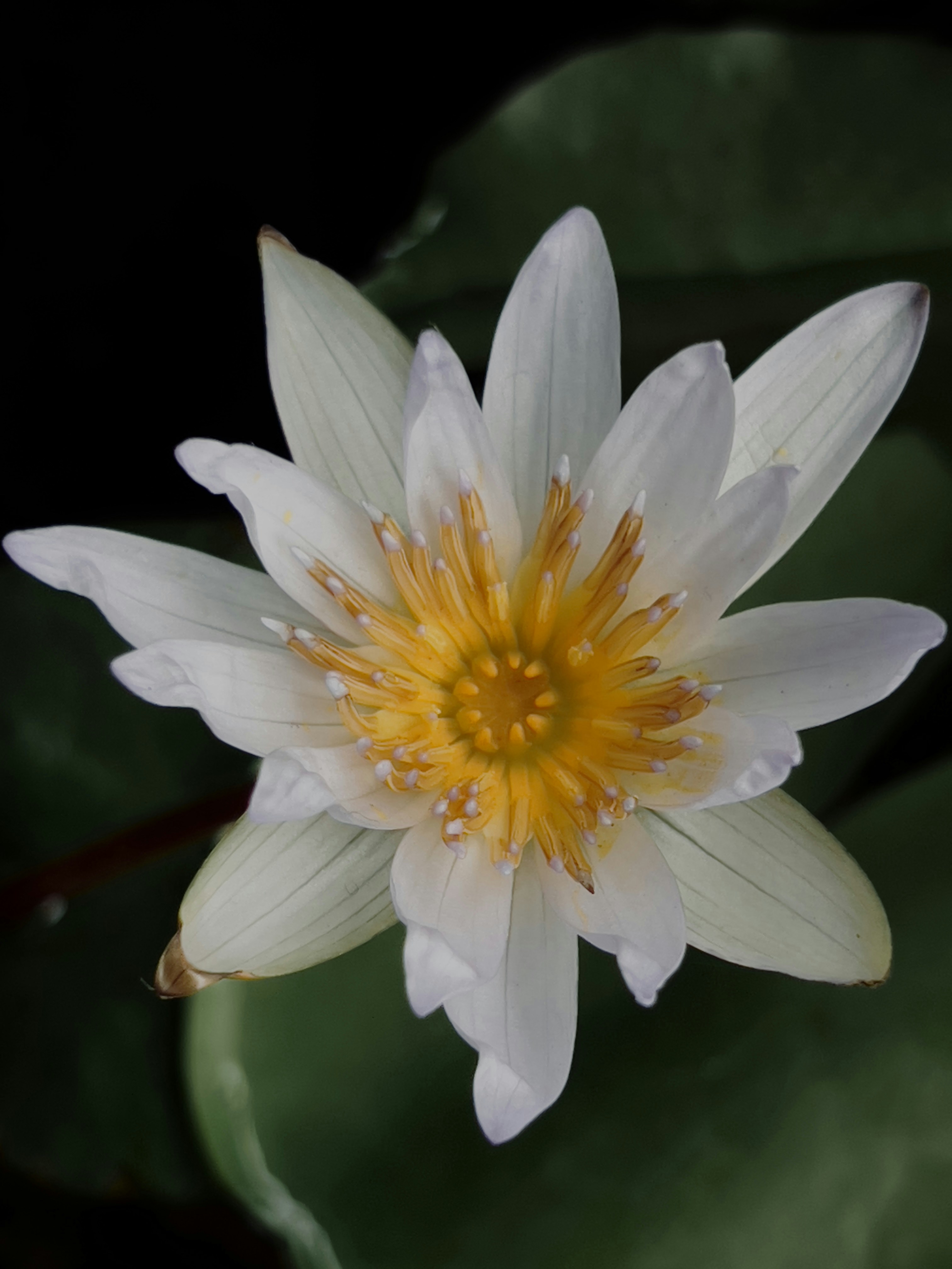 Photo by fahim_jaufer