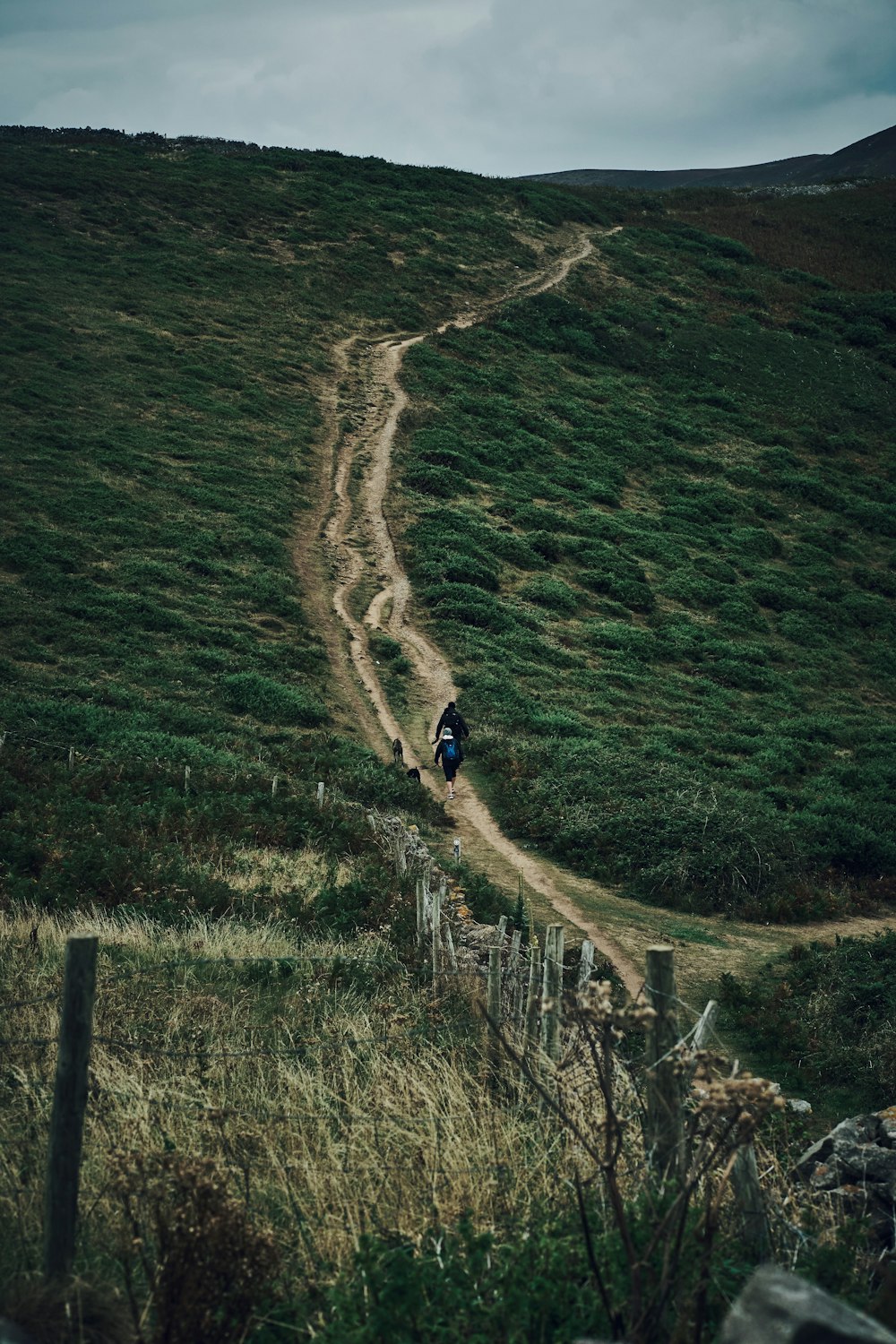 a person walking on a dirt path in a grassy area