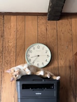 a cat lying on a heater