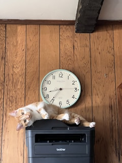 Traverse City house cleaning service home office cleaning